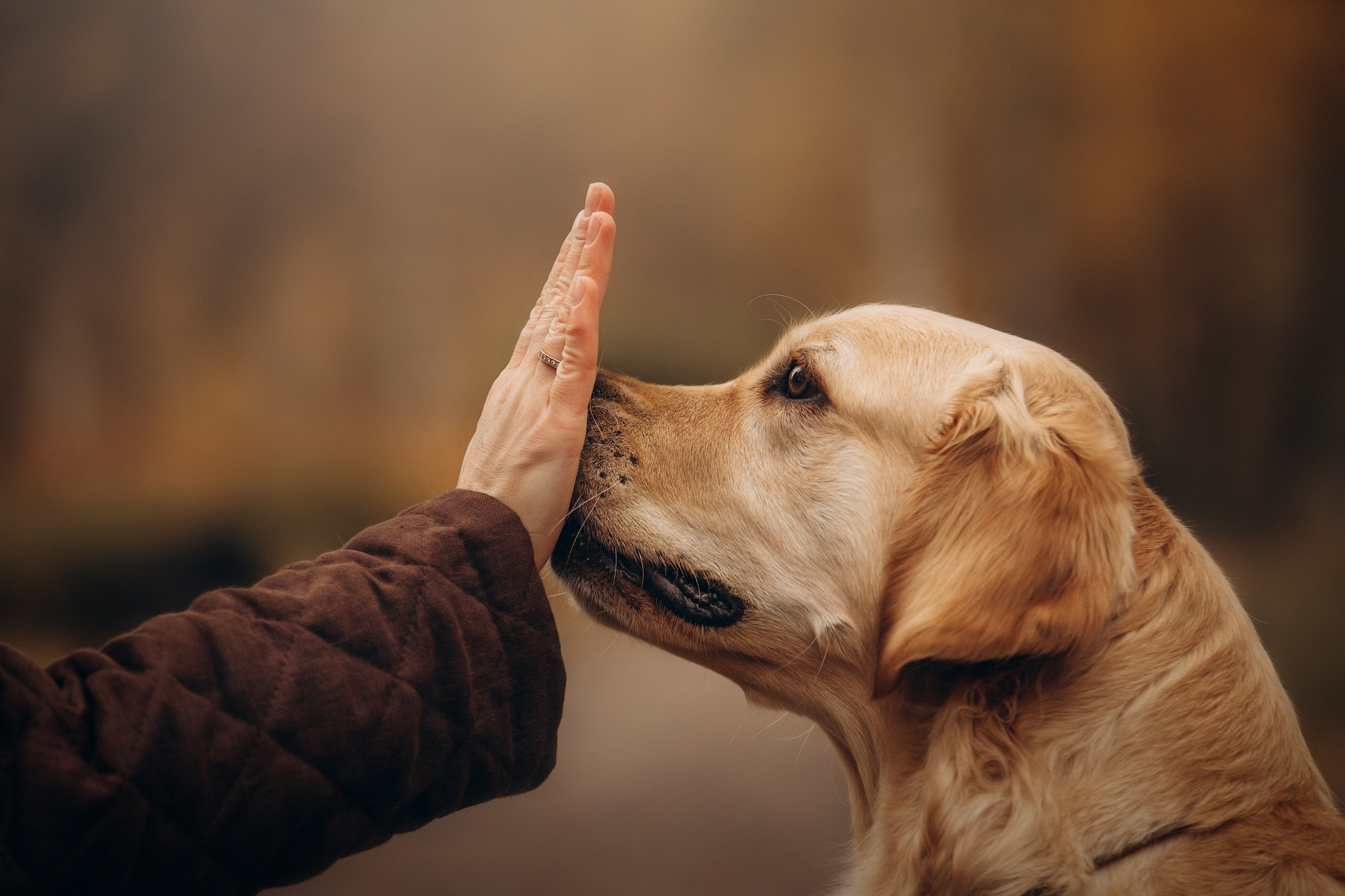 Марина и Чили. Фотограф — Анималист | Санкт-Петербург