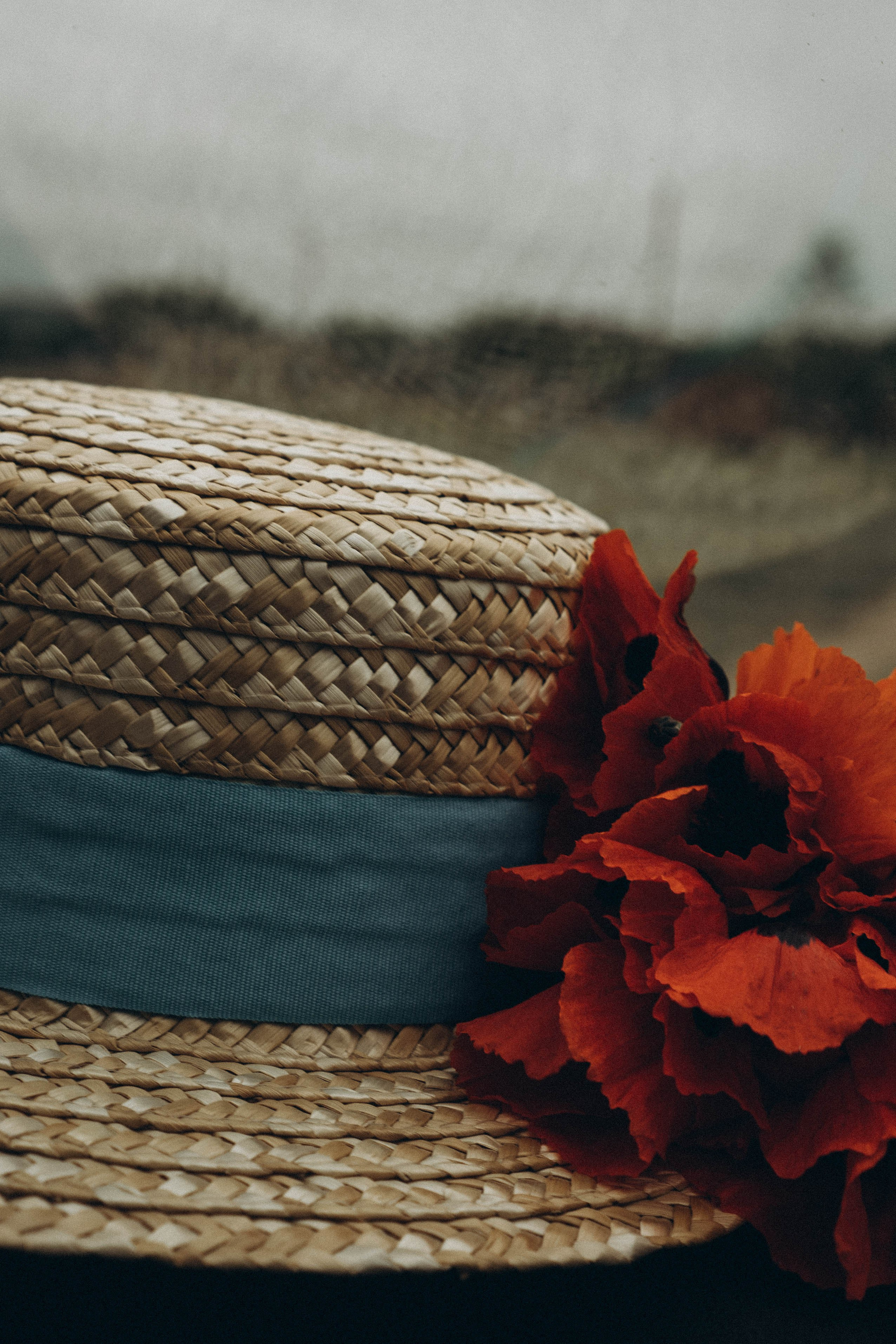 Кавказ. Профессиональный фотограф, Санкт-Петербург — Виктория Богомолова