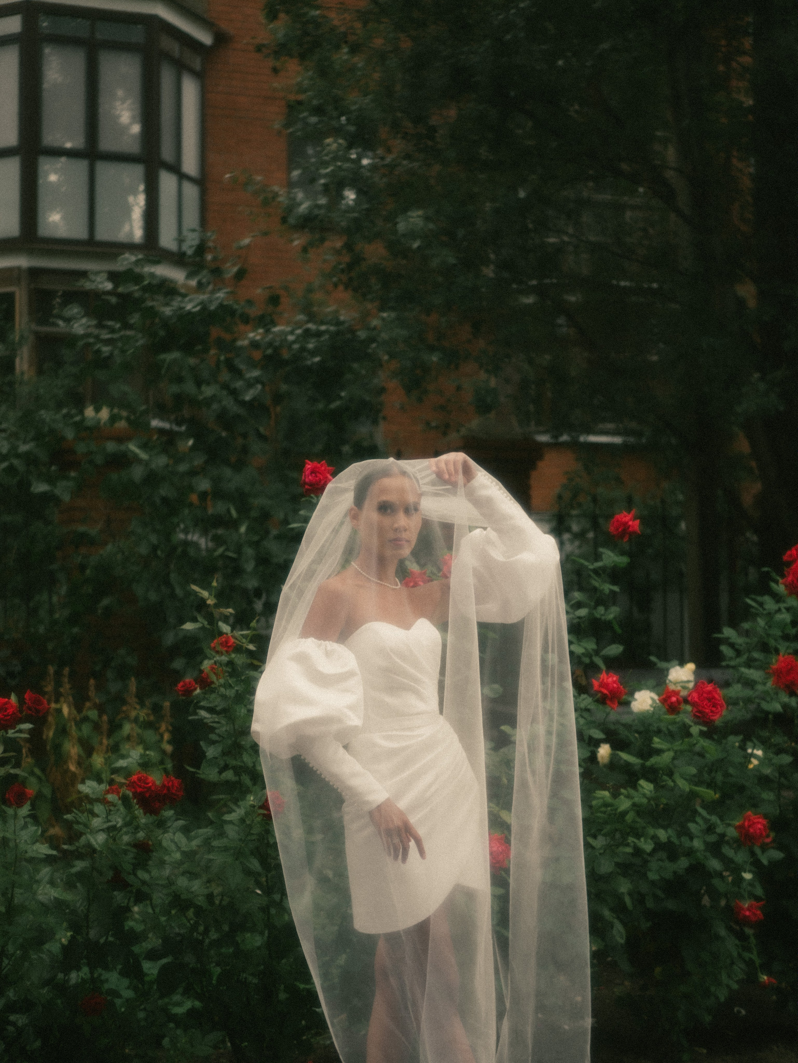 Любовь, радуга и розы. Фотограф Нэля Хаматова