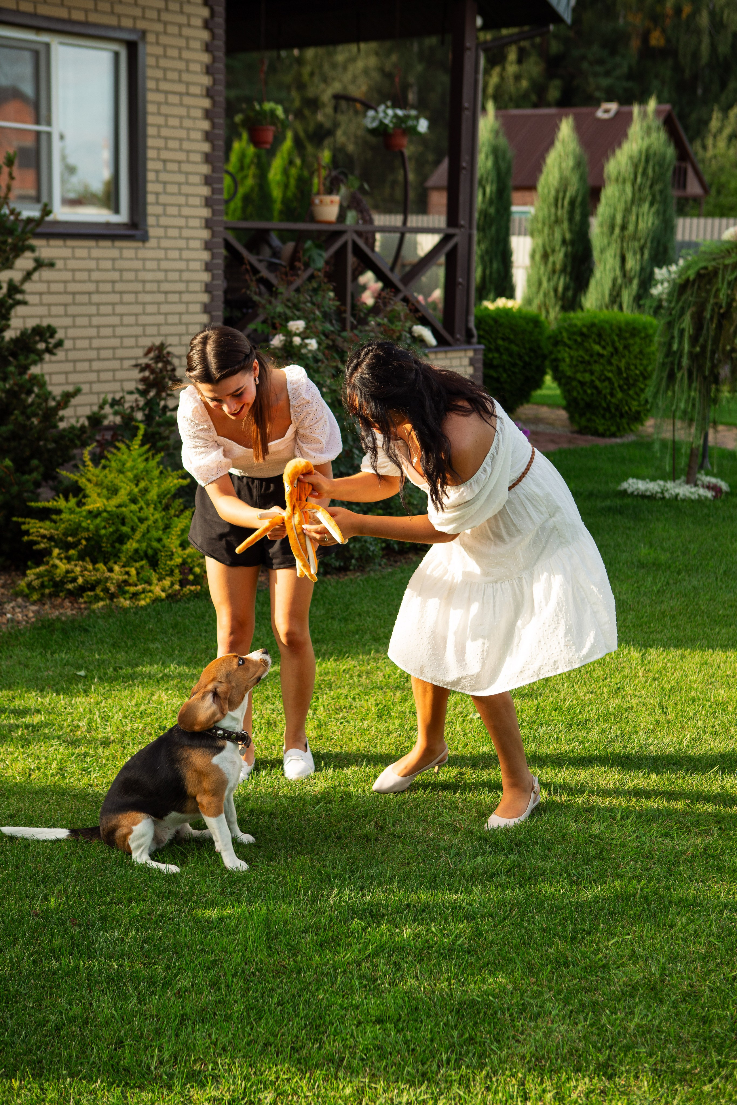 В саду гортензий. Семейный и контент- фотограф Анна Уткина, Электросталь, Ногинск, Москва