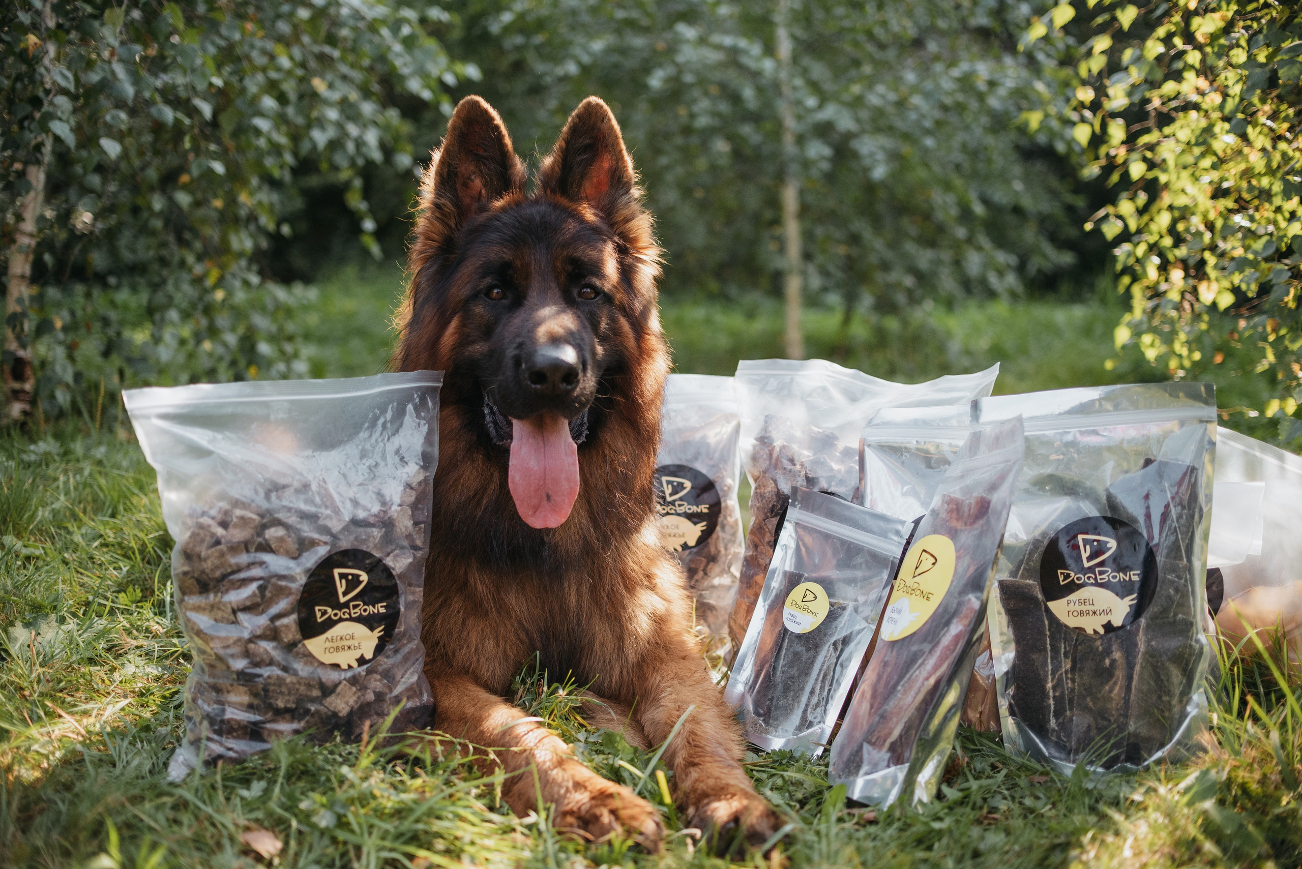 Dog Bone контент. Фотограф-анималист Валерия, Москва, Мытищи