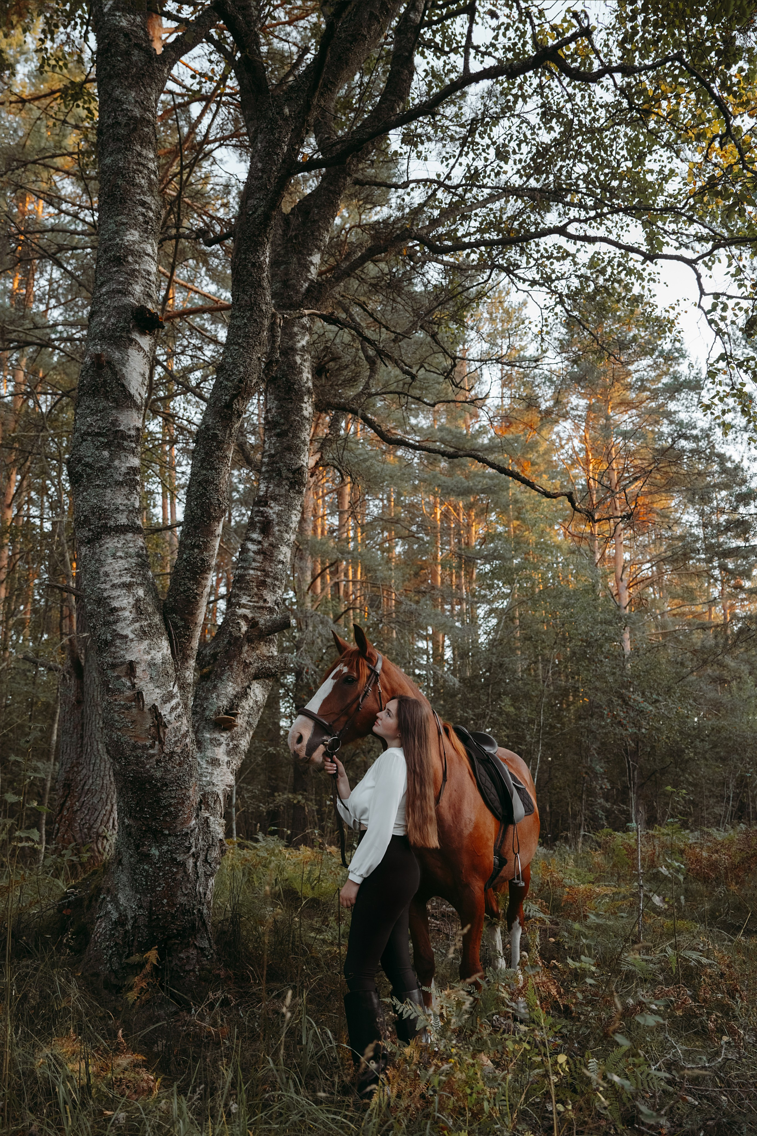 Конные. Главная