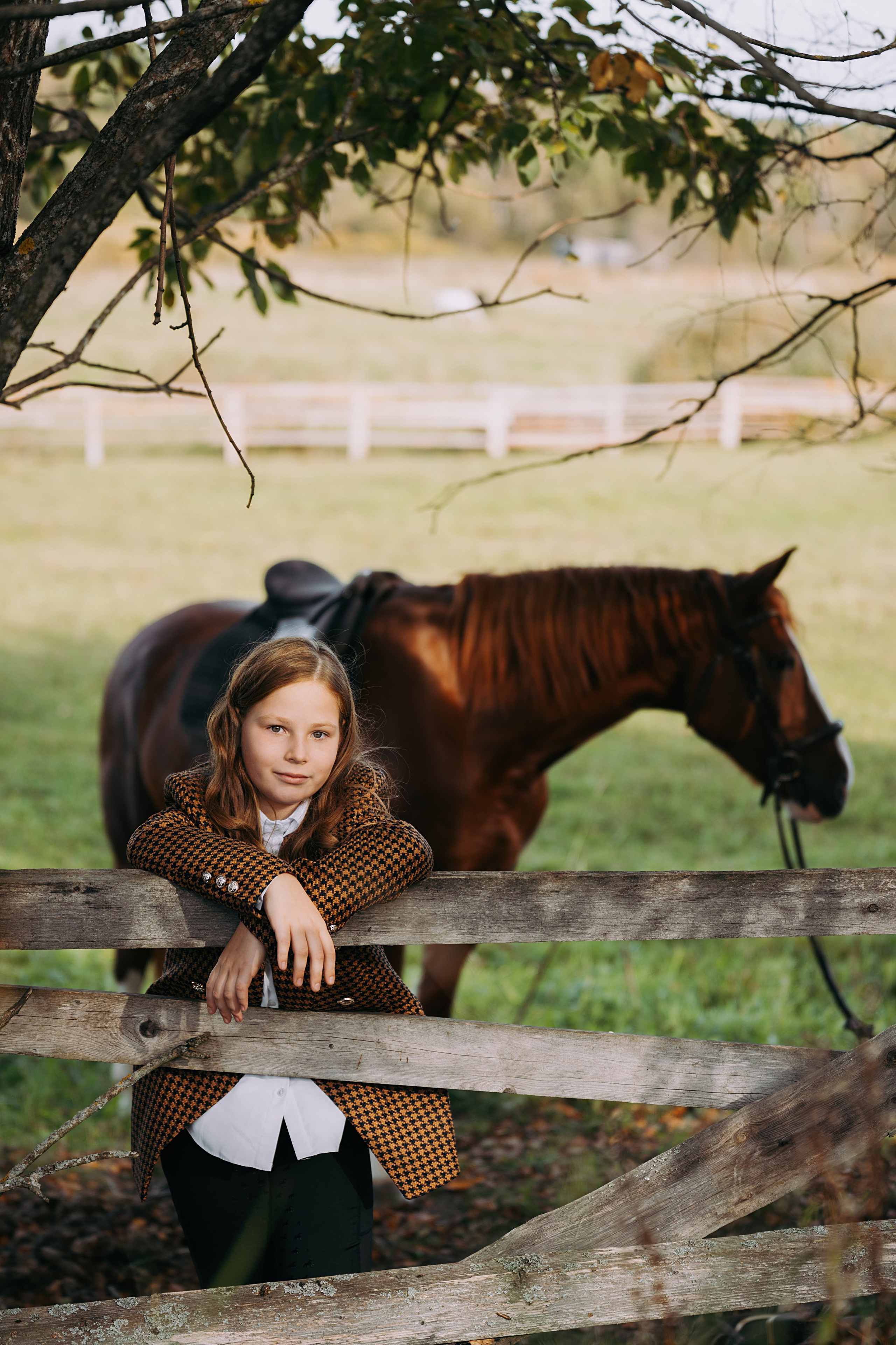 Конные. Главная