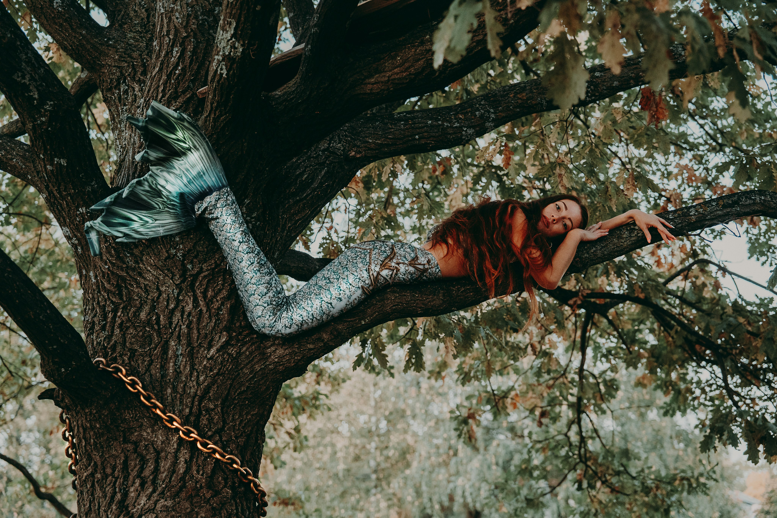 Художественные. Главная