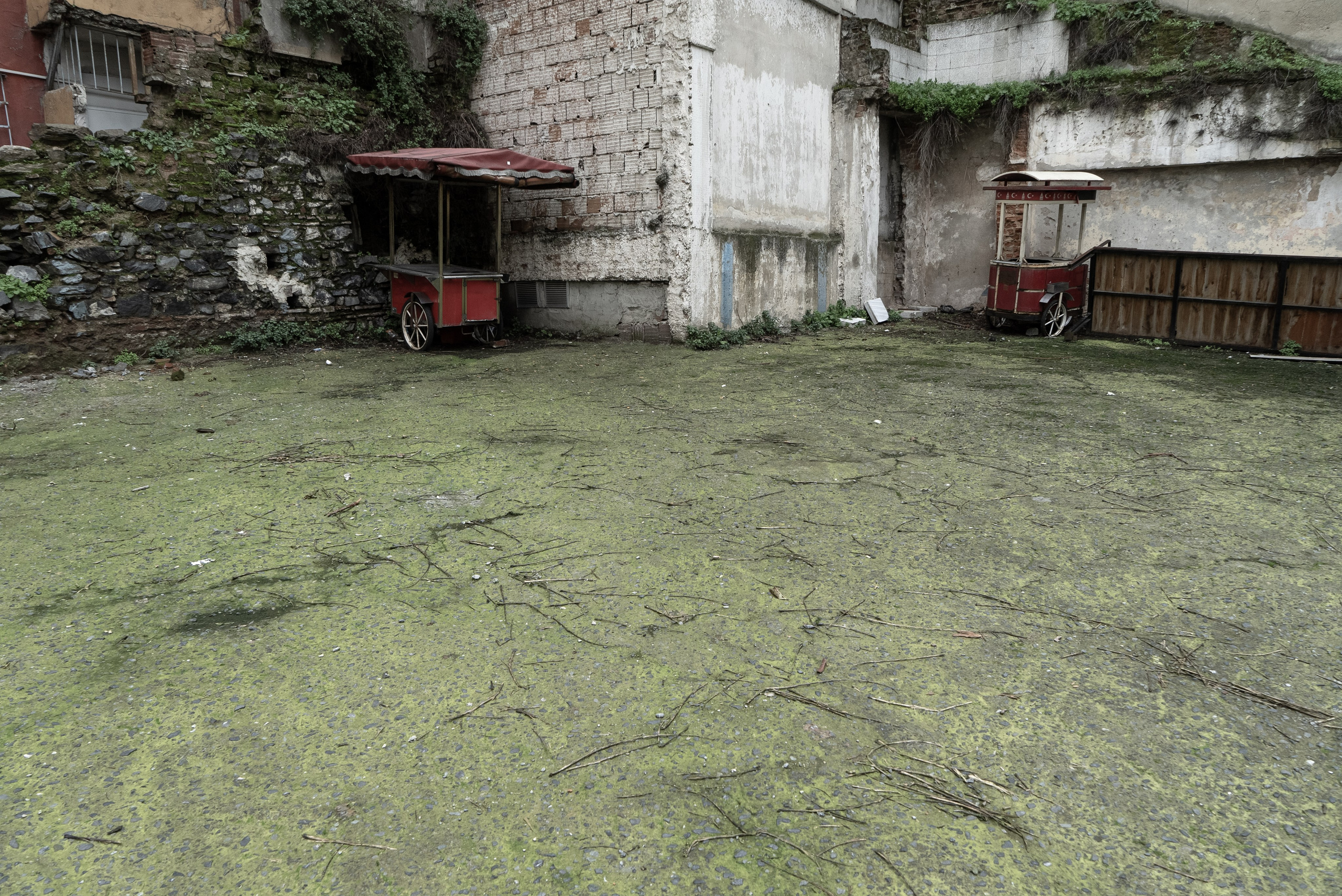 Стамбул, 2024