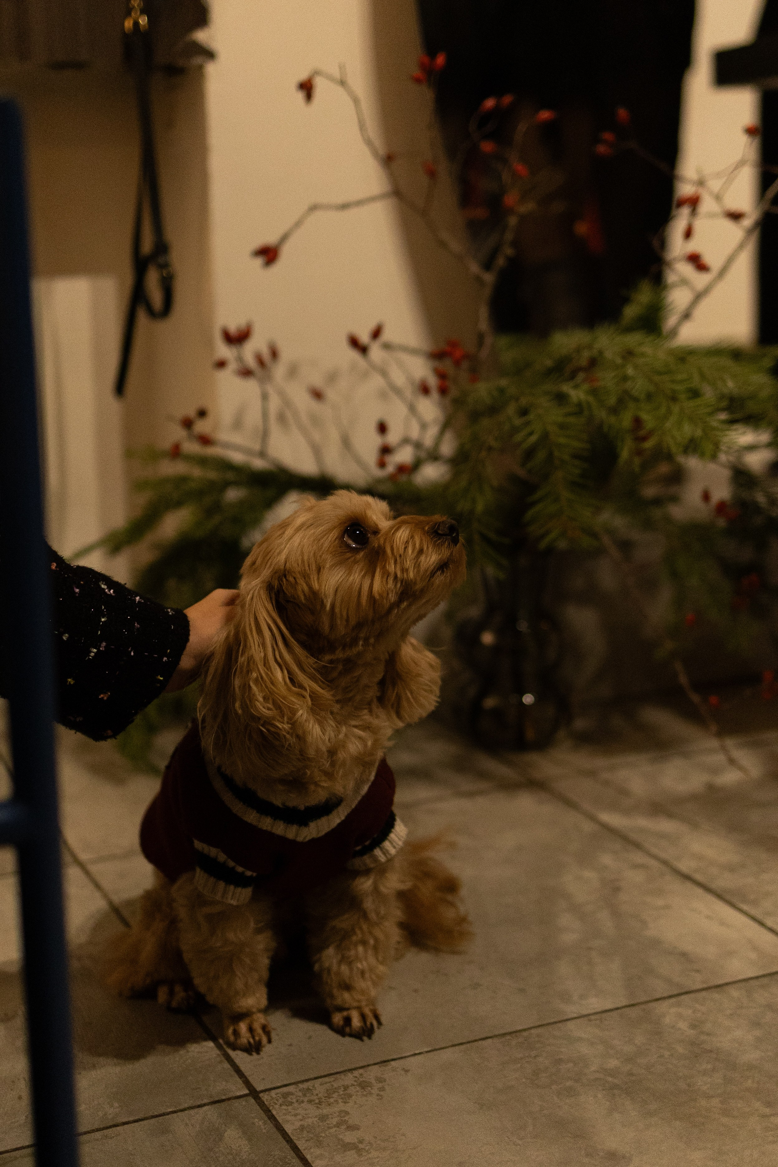 День рождения//Ирина. Главная