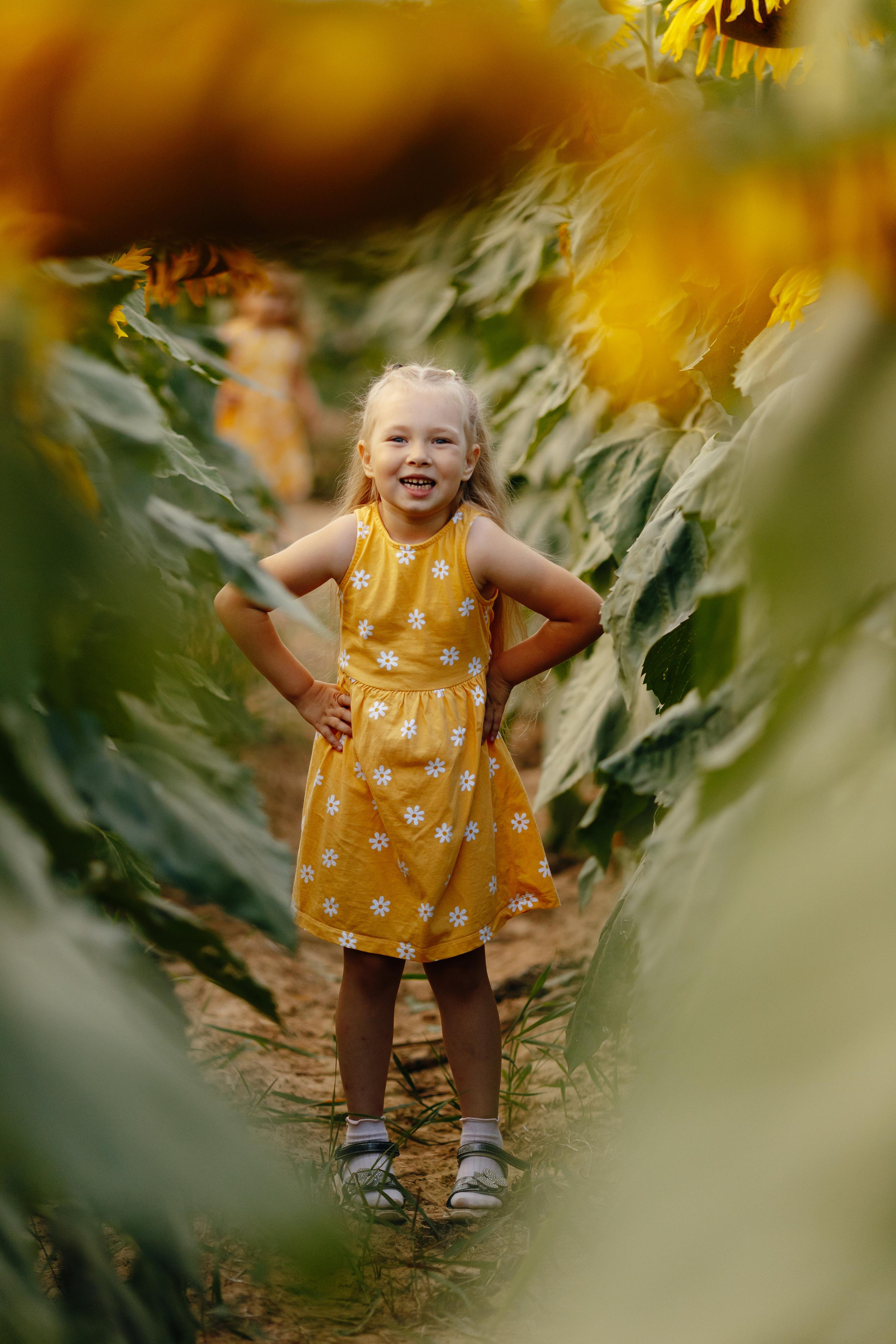 Подсолнухи. Свадебный и семейный фотограф Витебск, Минск, Андрей Павлов