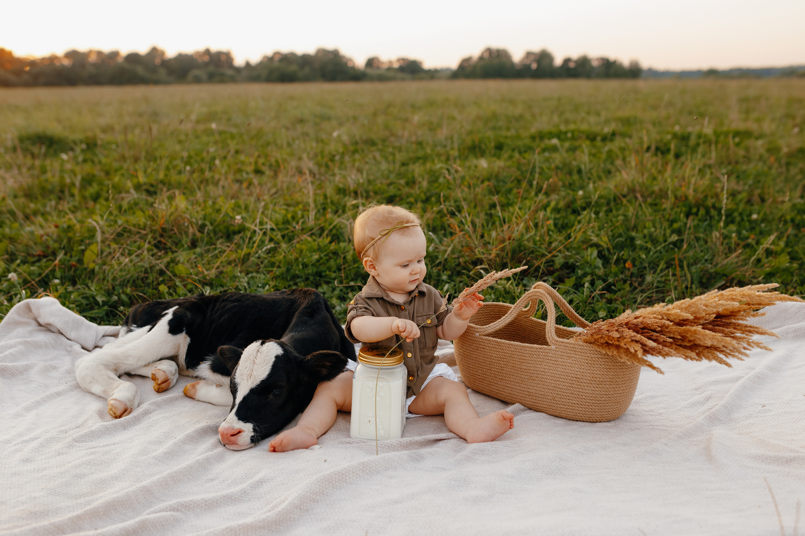 Фотосессия с теленком на закате. Свадебный и семейный фотограф Витебск, Минск, Андрей Павлов
