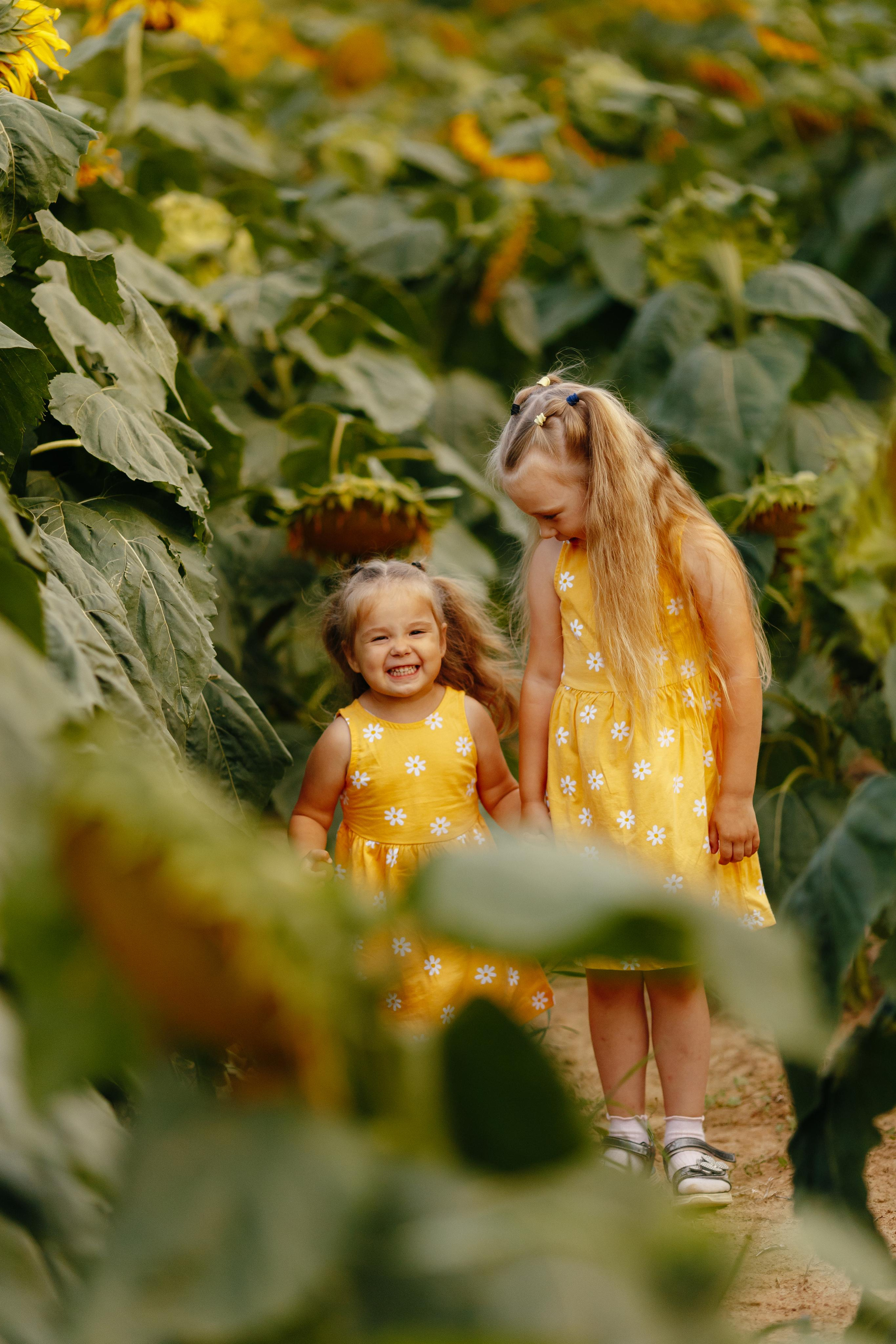 Подсолнухи. Свадебный и семейный фотограф Витебск, Минск, Андрей Павлов