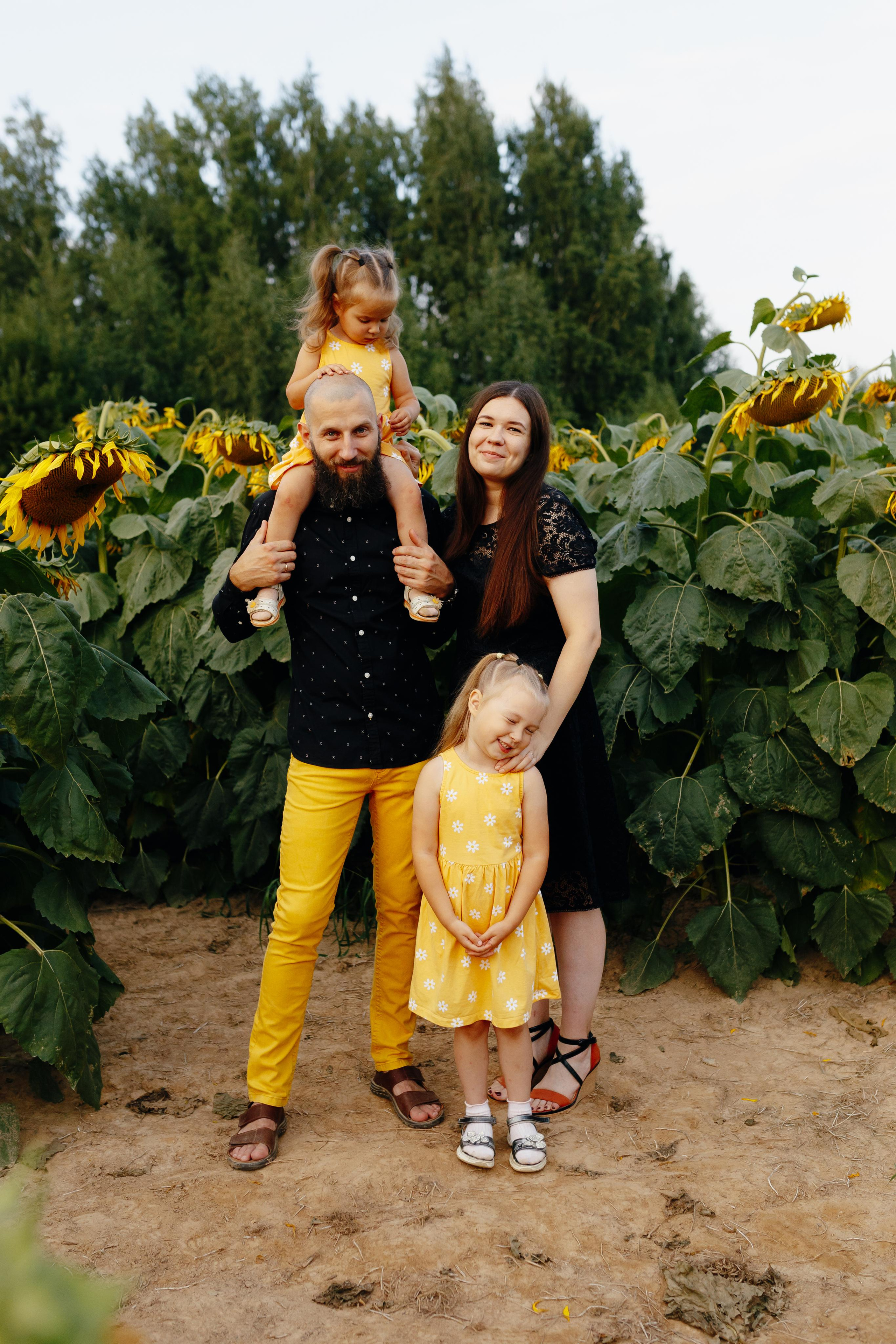 Подсолнухи. Свадебный и семейный фотограф Витебск, Минск, Андрей Павлов