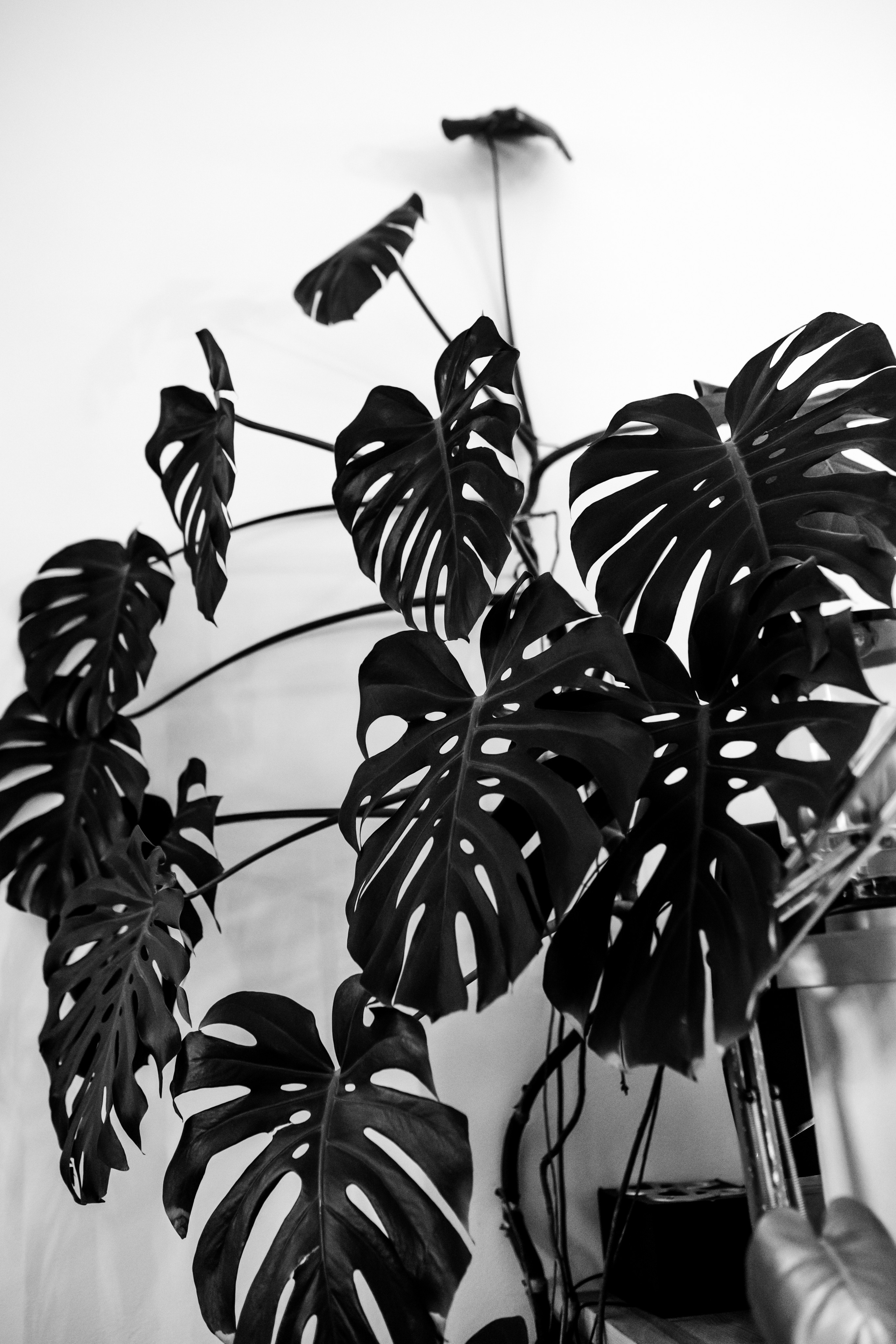 Осень — Луна. Свадебный и семейный фотограф Витебск, Минск, Андрей Павлов