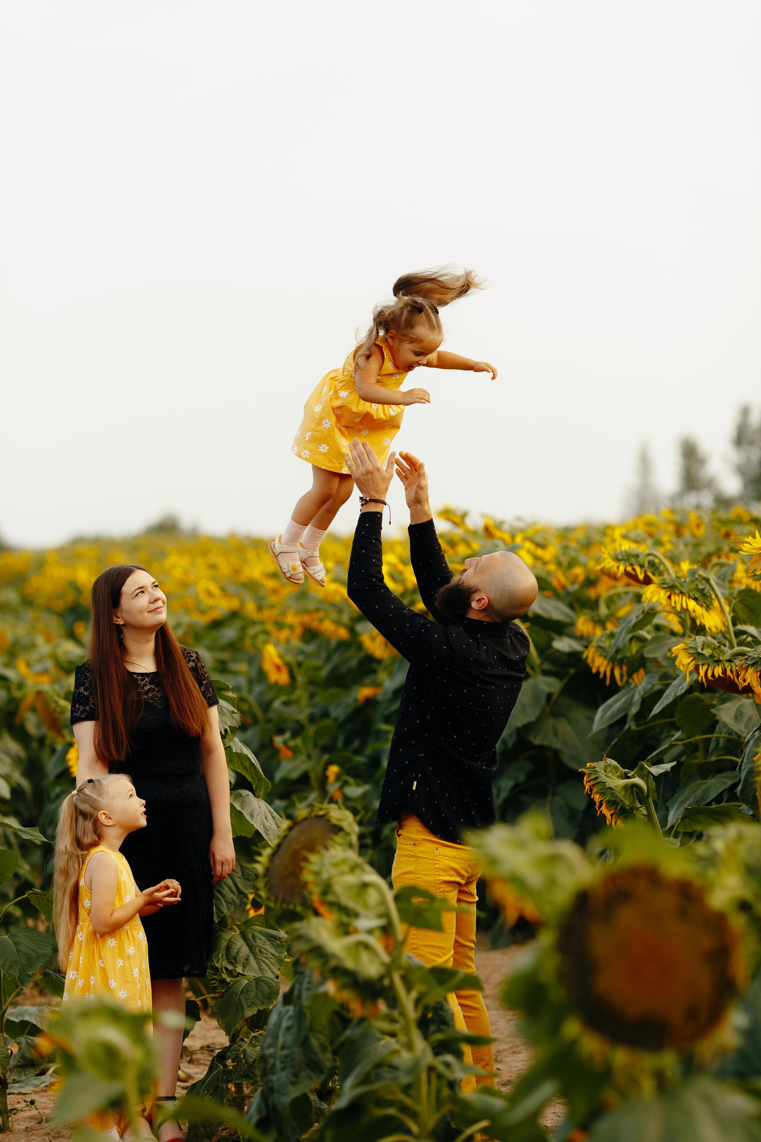 Подсолнухи. Свадебный и семейный фотограф Витебск, Минск, Андрей Павлов