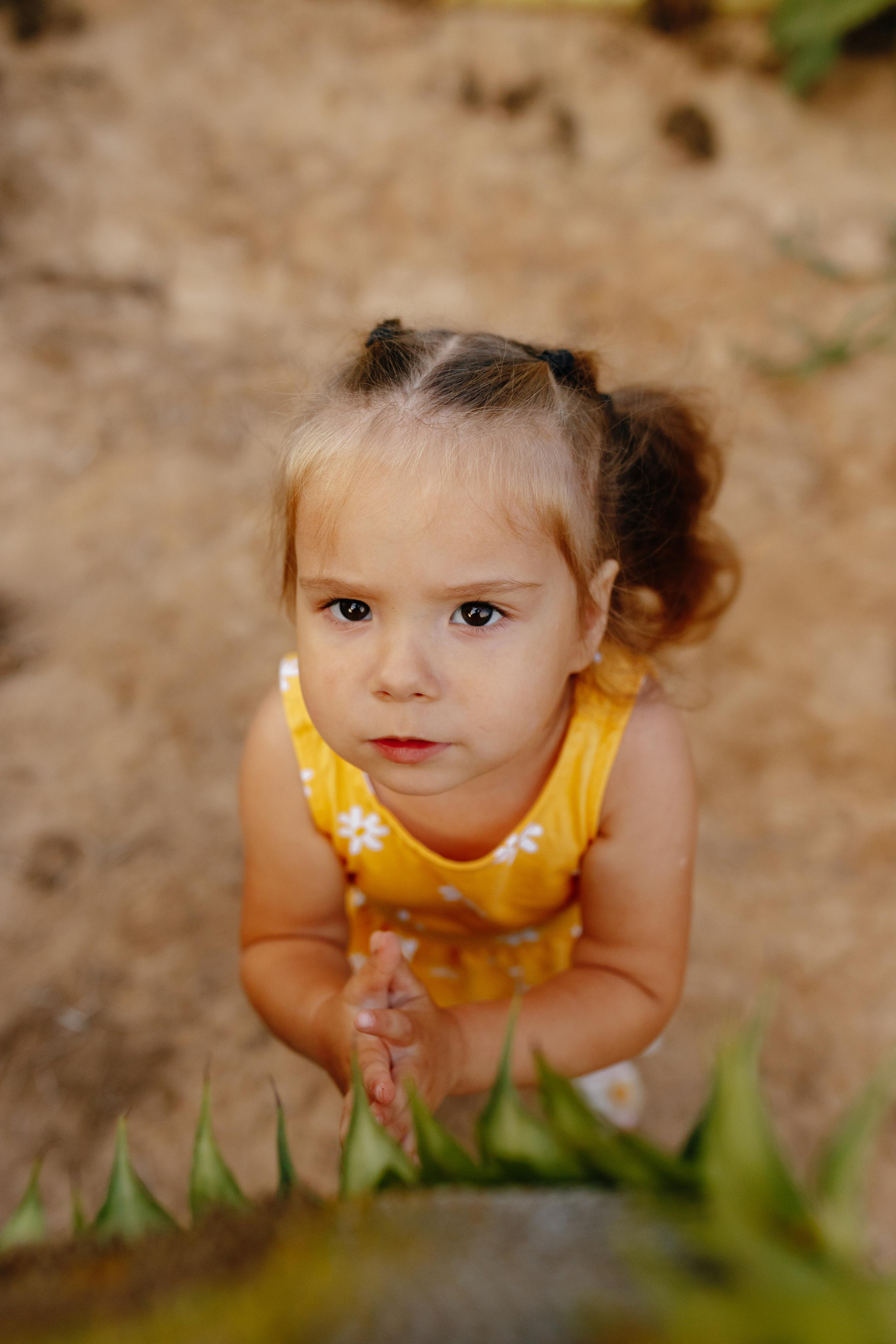 Подсолнухи. Свадебный и семейный фотограф Витебск, Минск, Андрей Павлов