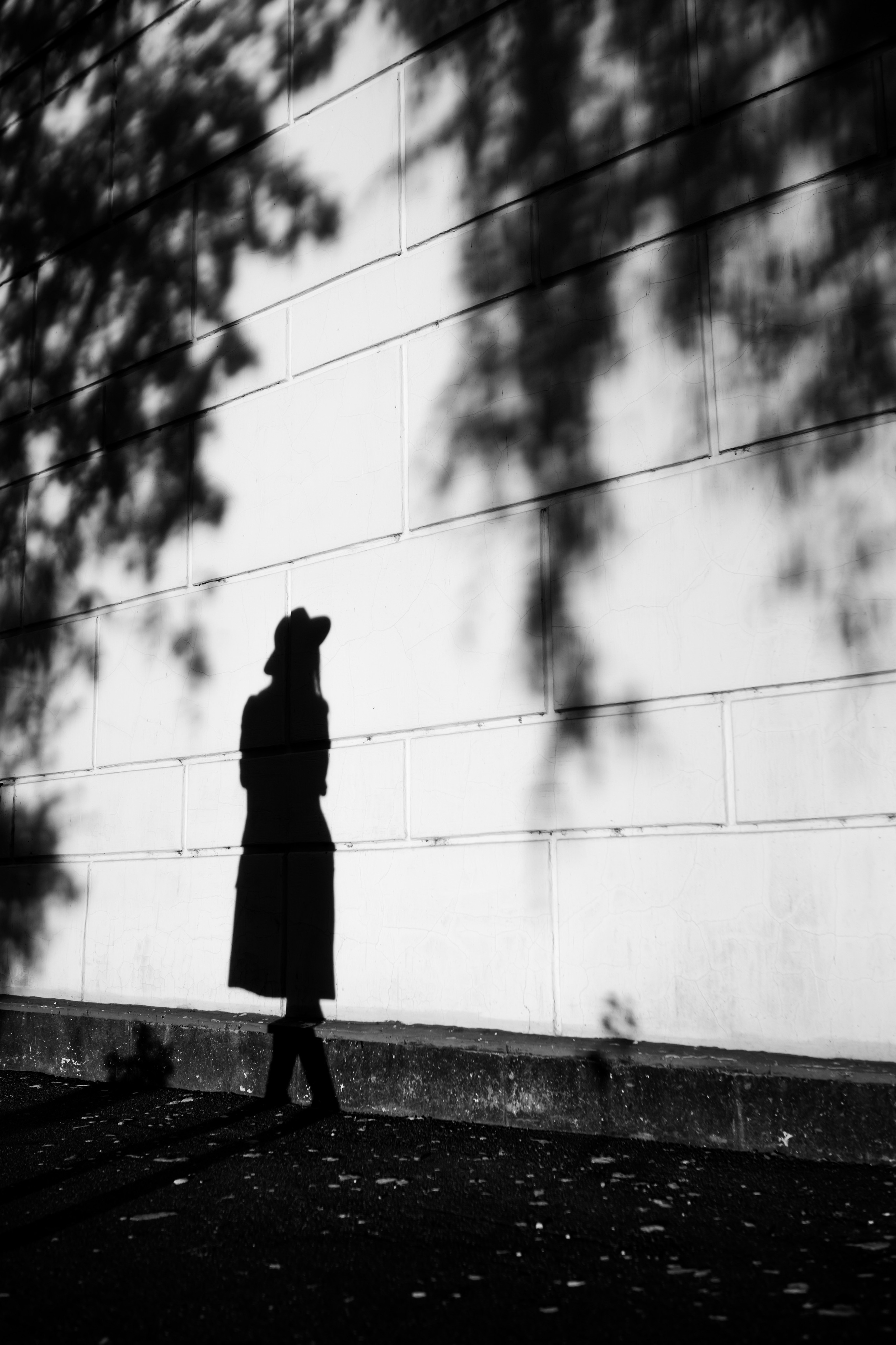 Осень — Луна. Свадебный и семейный фотограф Витебск, Минск, Андрей Павлов