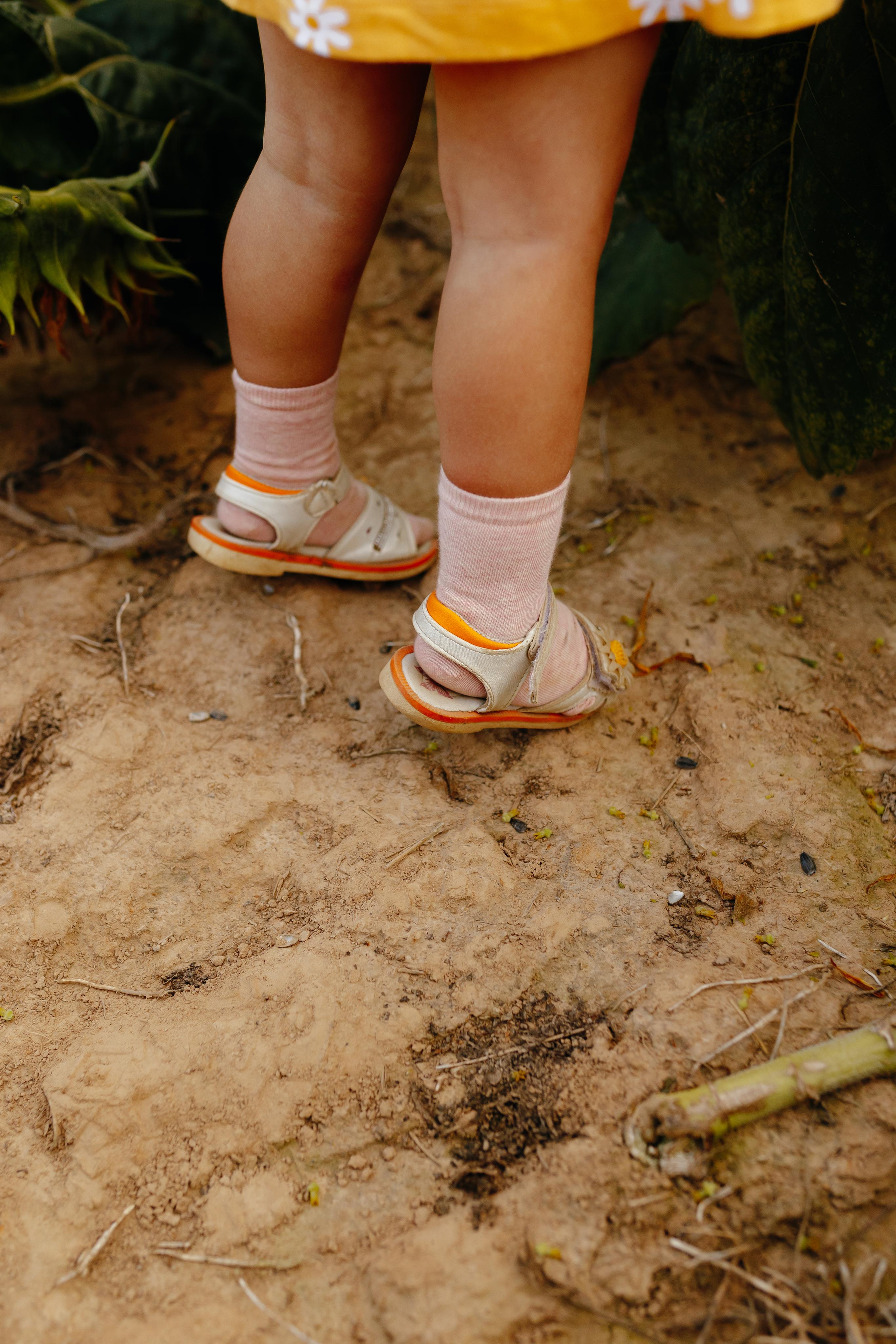 Подсолнухи. Свадебный и семейный фотограф Витебск, Минск, Андрей Павлов