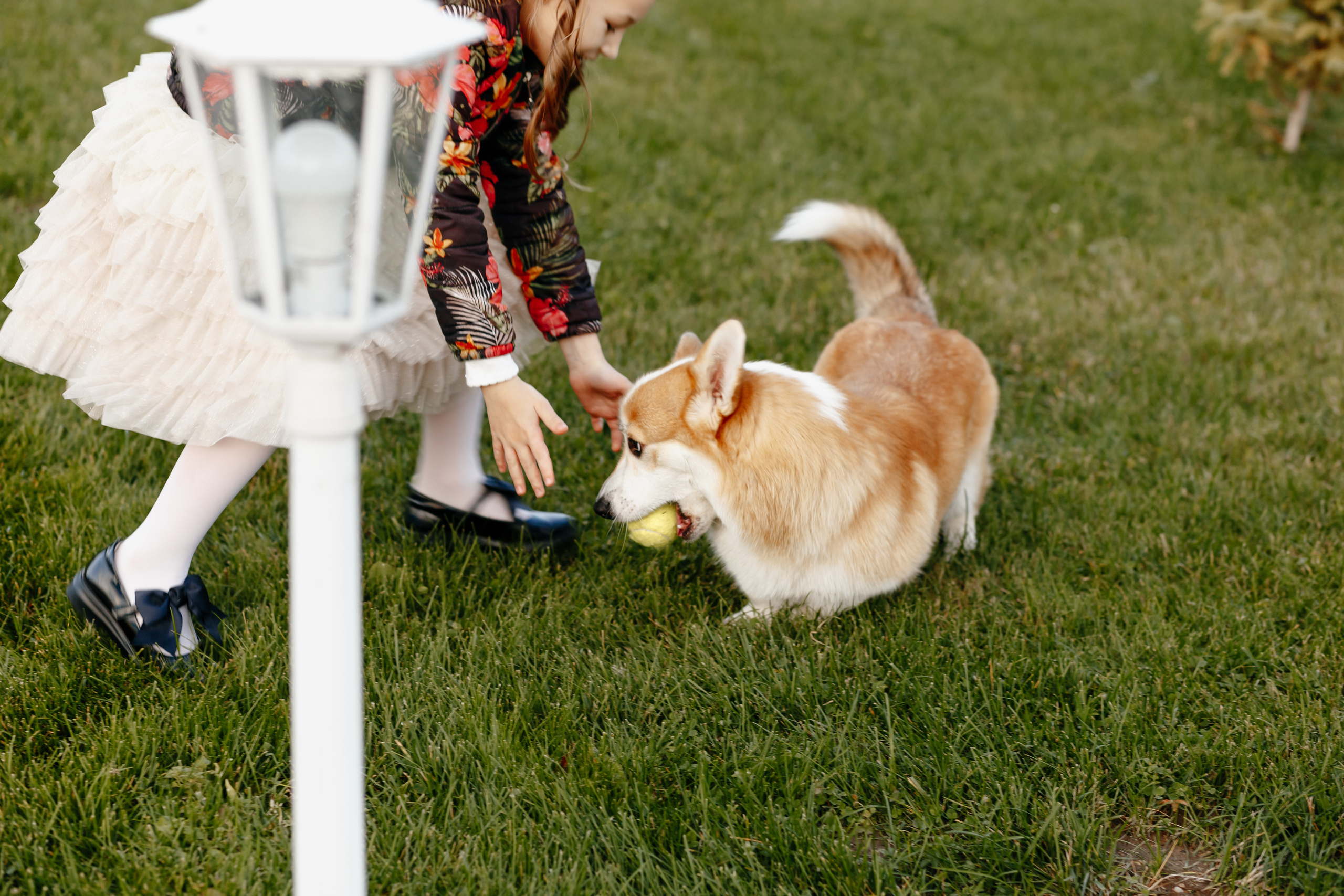 Свадьба Марии и Андрея. Свадебный и семейный фотограф Витебск, Минск, Андрей Павлов