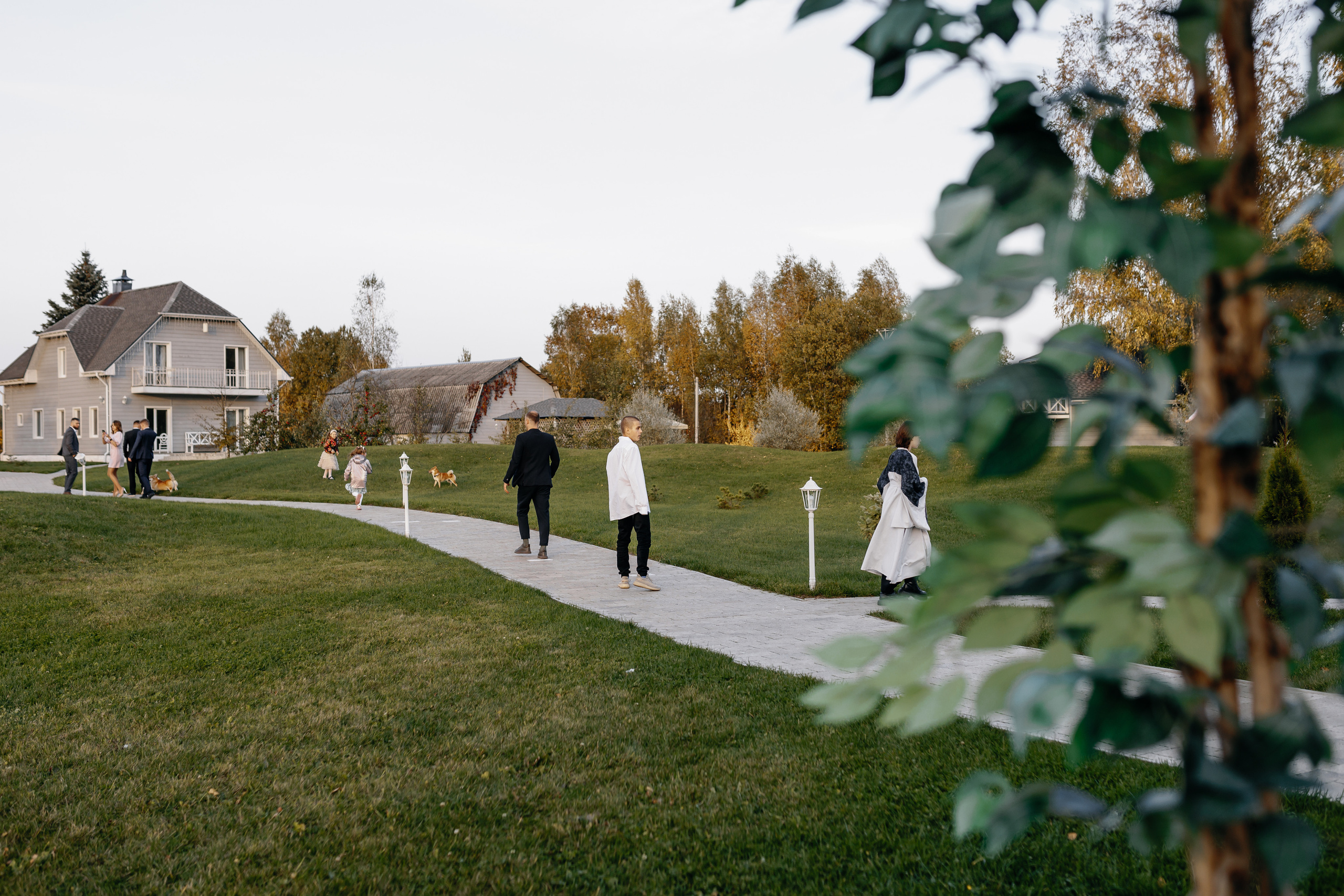 Свадьба Марии и Андрея. Свадебный и семейный фотограф Витебск, Минск, Андрей Павлов