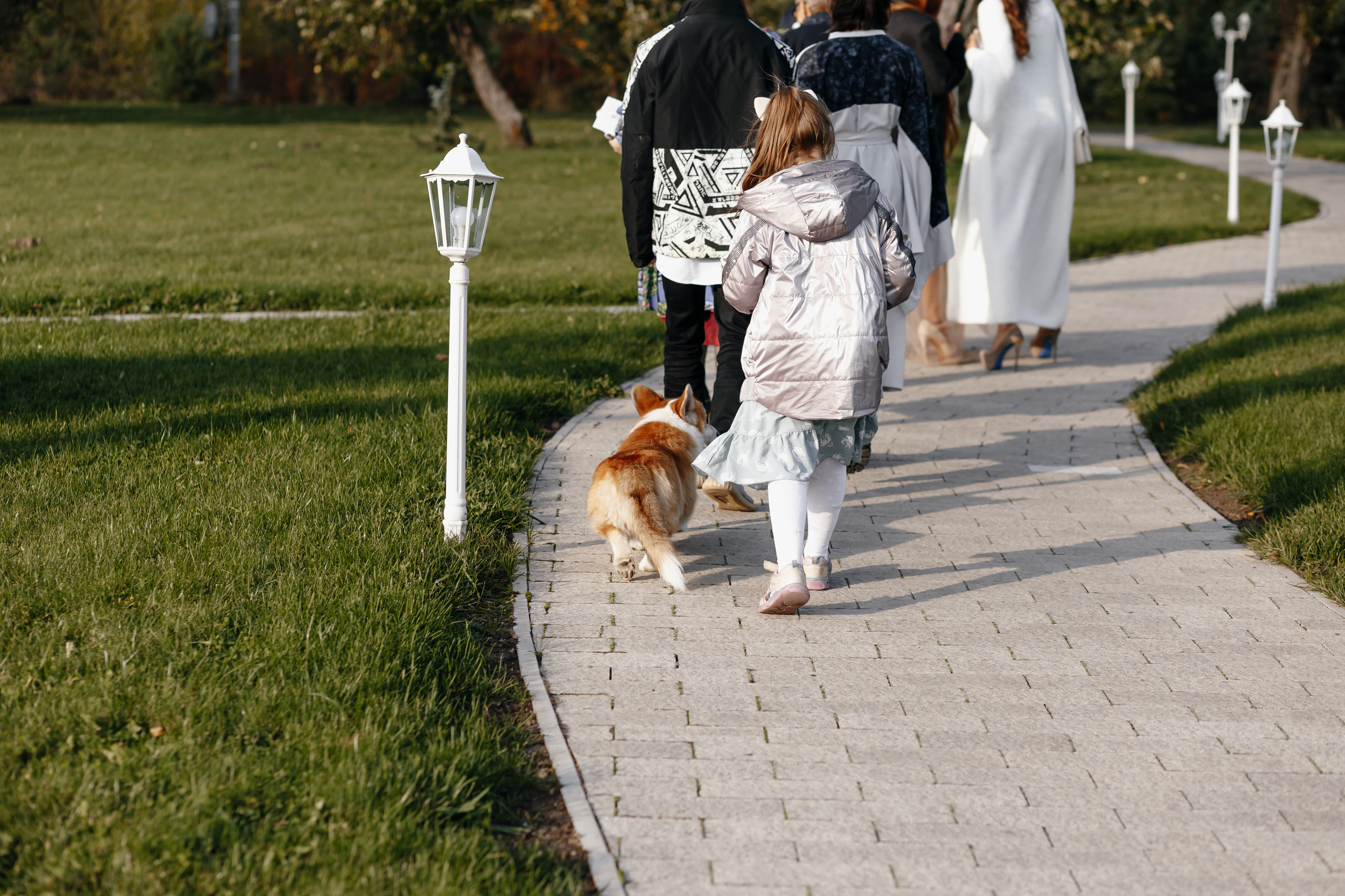 Свадьба Марии и Андрея. Свадебный и семейный фотограф Витебск, Минск, Андрей Павлов