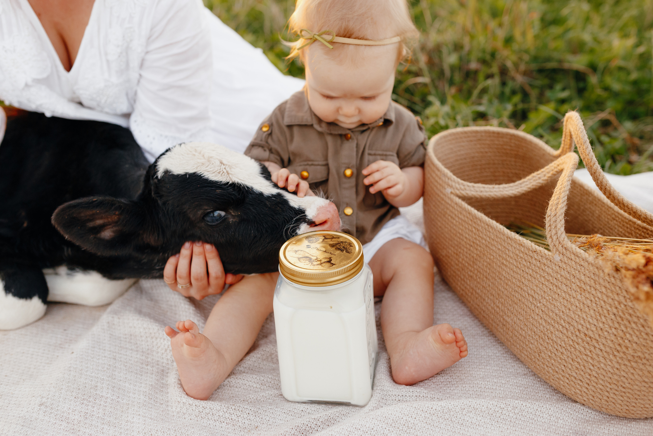 Фотосессия с теленком на закате. Свадебный и семейный фотограф Витебск, Минск, Андрей Павлов