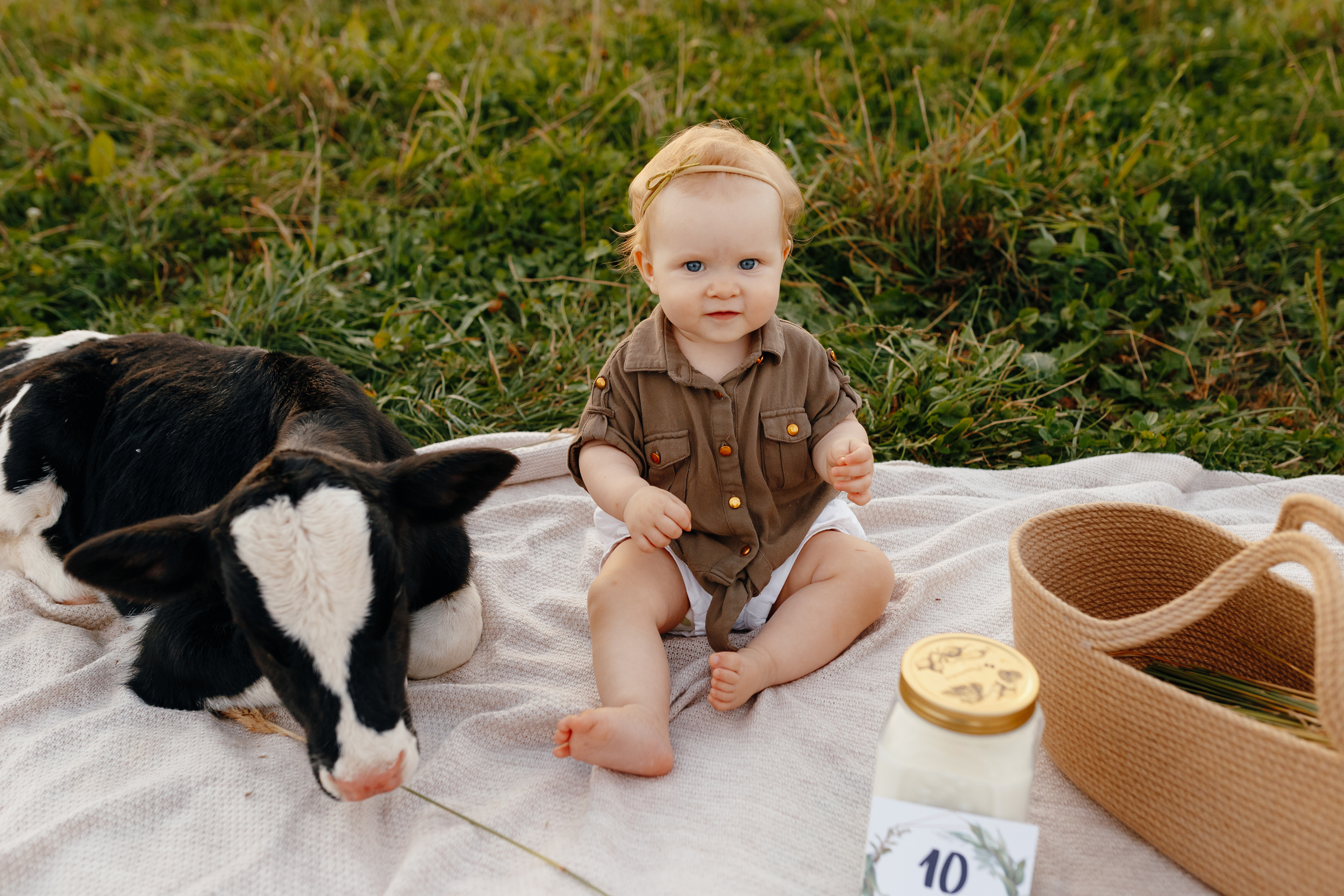 Фотосессия с теленком Витебск