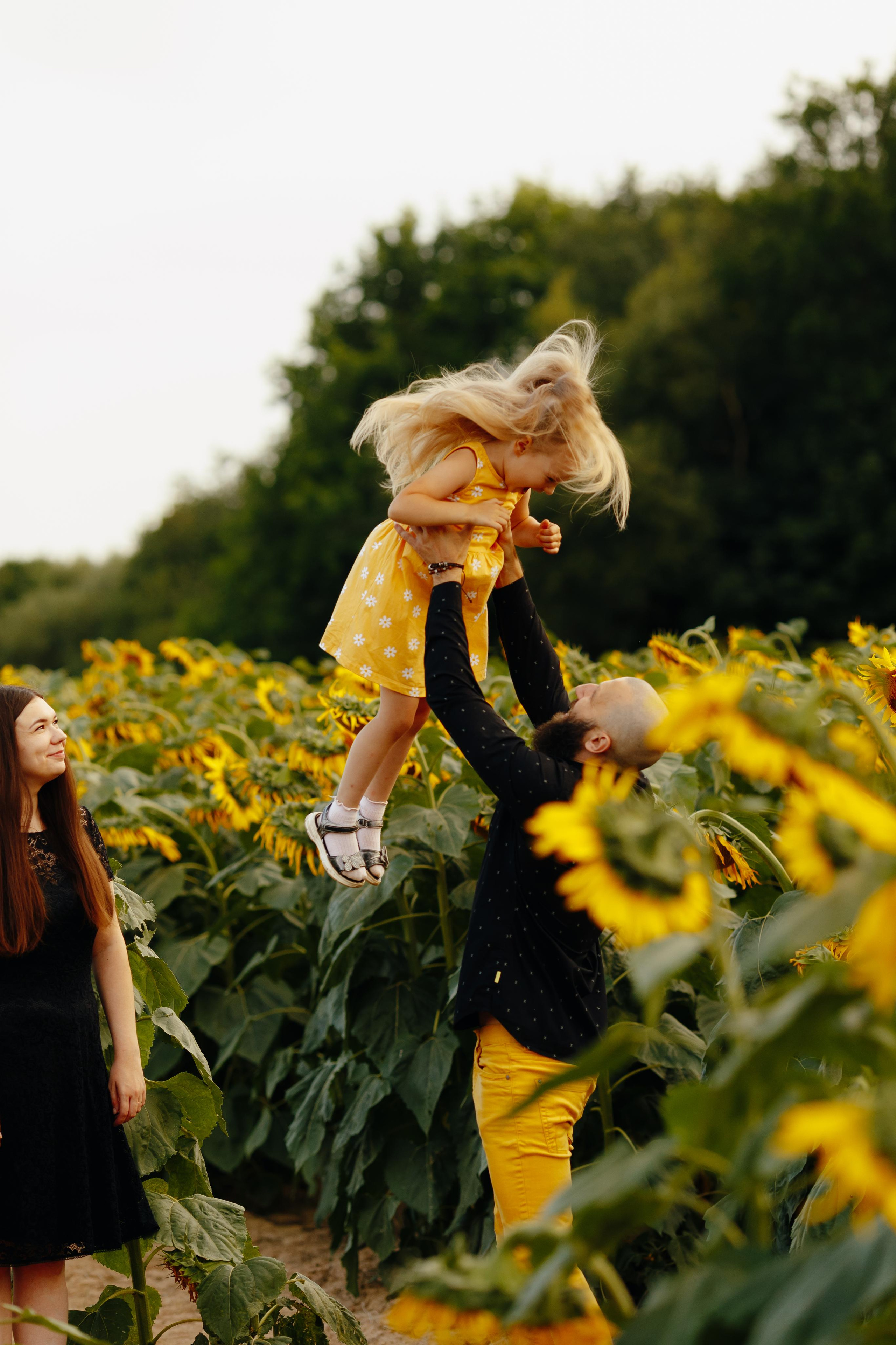 Подсолнухи. Свадебный и семейный фотограф Витебск, Минск, Андрей Павлов