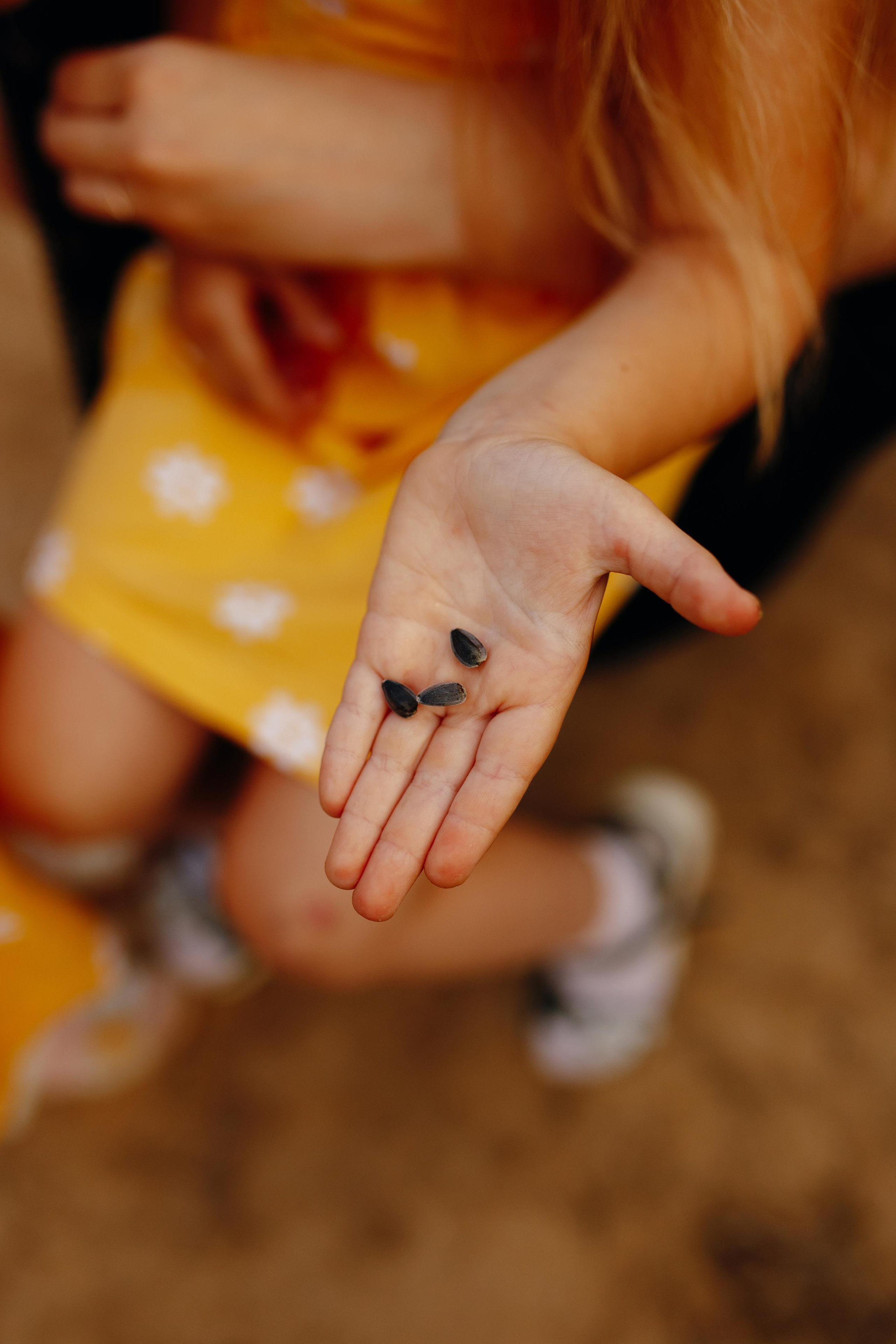 Фотосессия в подсолнухах Витебск 