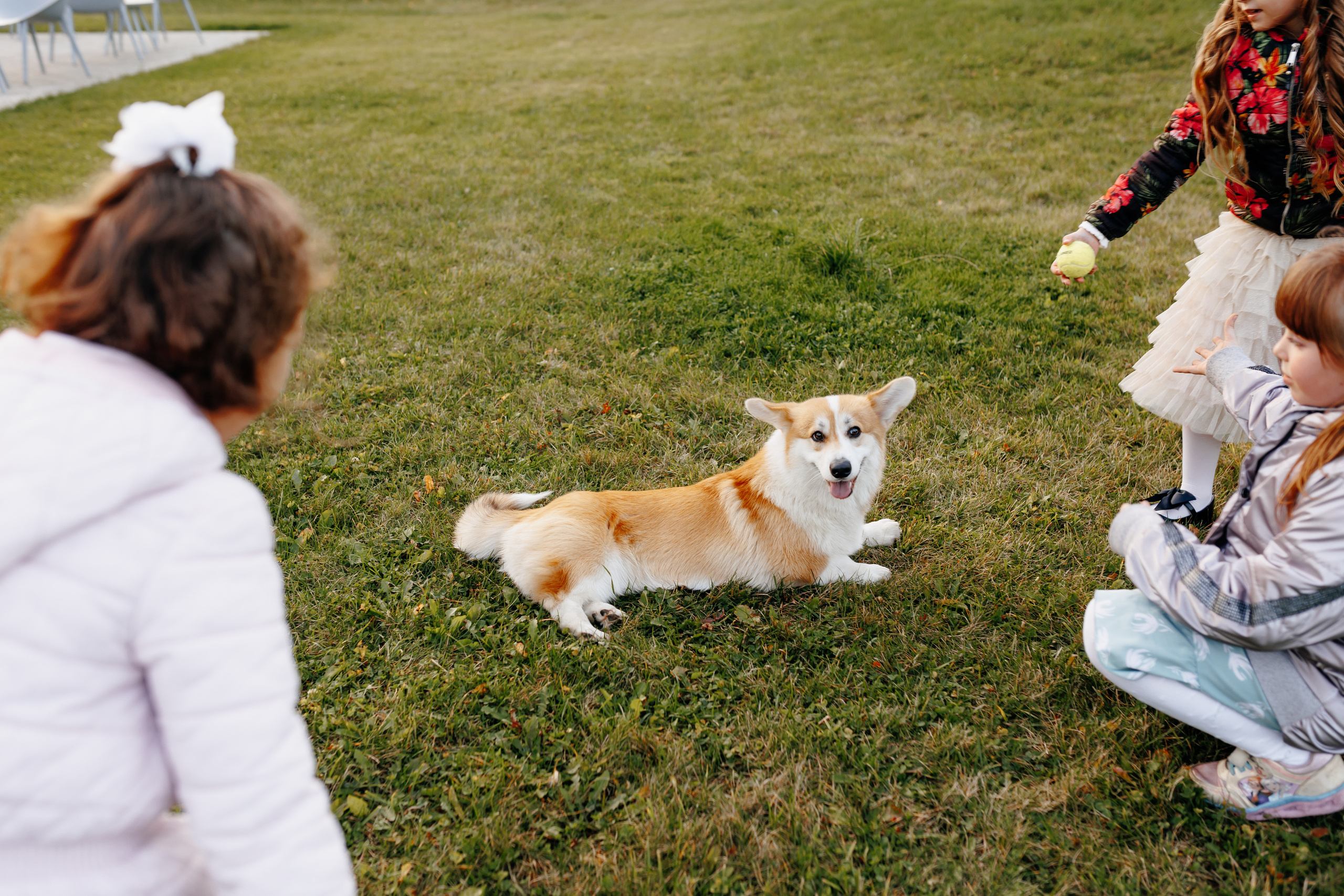 Свадьба Марии и Андрея. Свадебный и семейный фотограф Витебск, Минск, Андрей Павлов