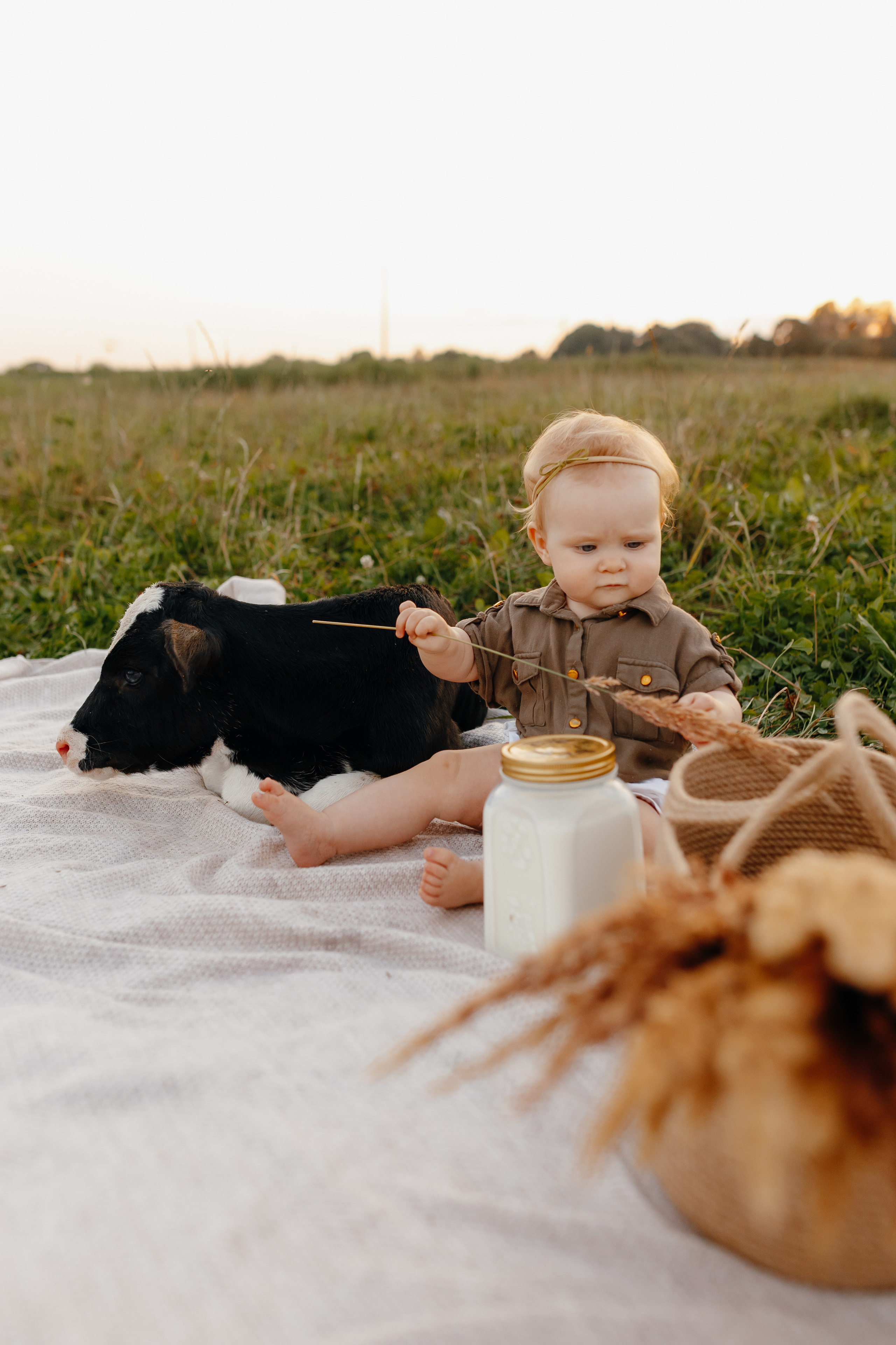 Фотосессия с теленком на закате. Свадебный и семейный фотограф Витебск, Минск, Андрей Павлов