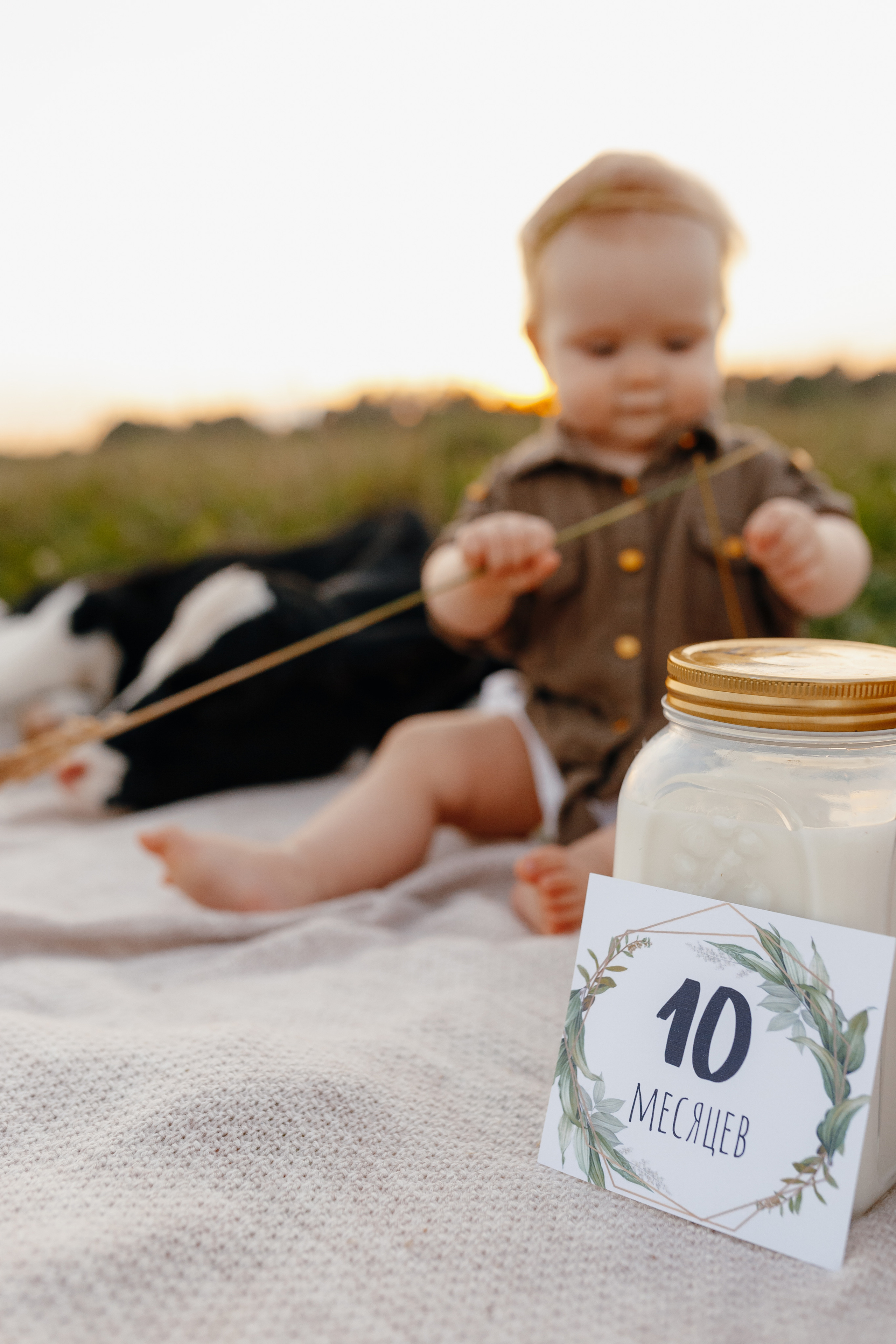 Фотосессия с теленком на закате. Свадебный и семейный фотограф Витебск, Минск, Андрей Павлов