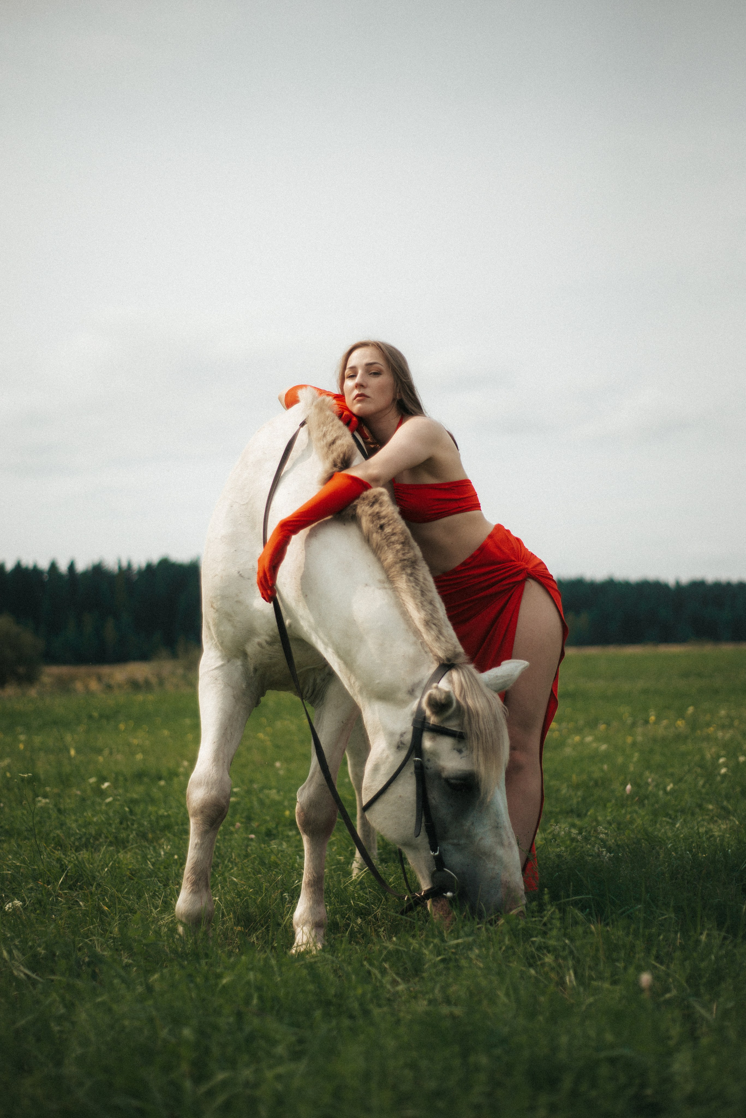 Horse. Фотограф