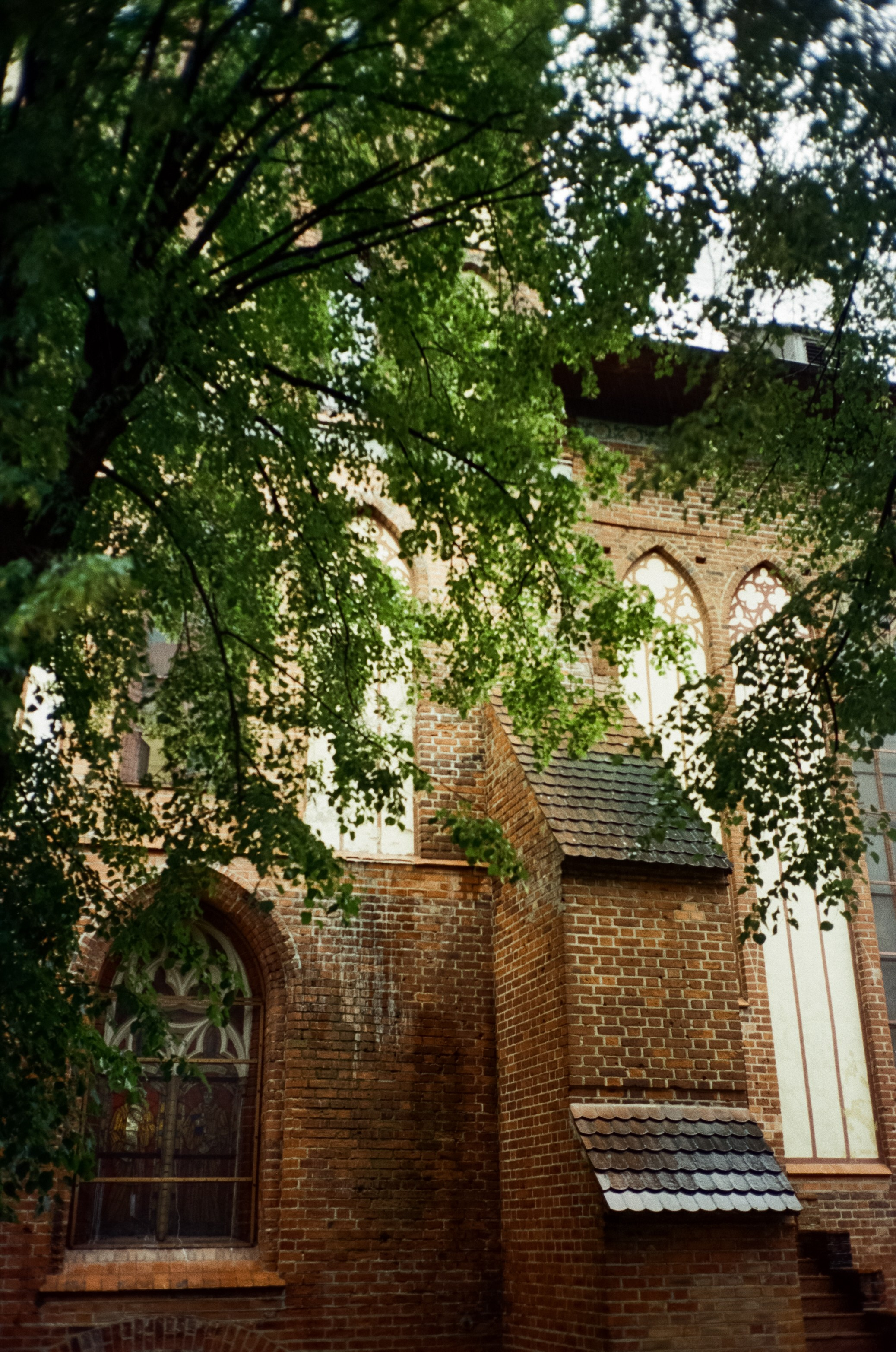 Остров Канта и Кафедральный Собор. Фотограф-документалист Мария Осокина