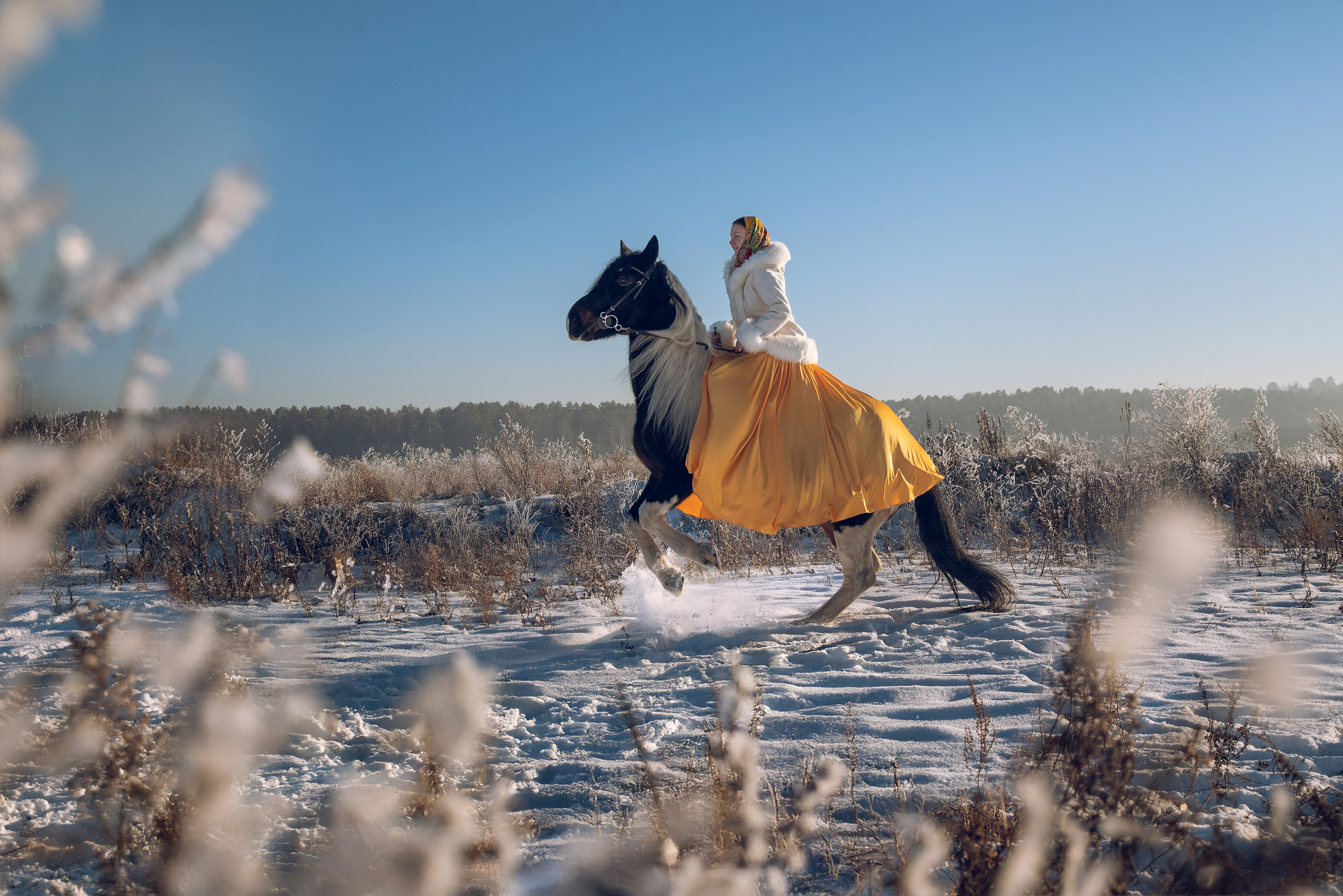 Съемка с лошадью Иркутск Иркутская область. Сайт фотографа Елены Коноваловой Иркутск