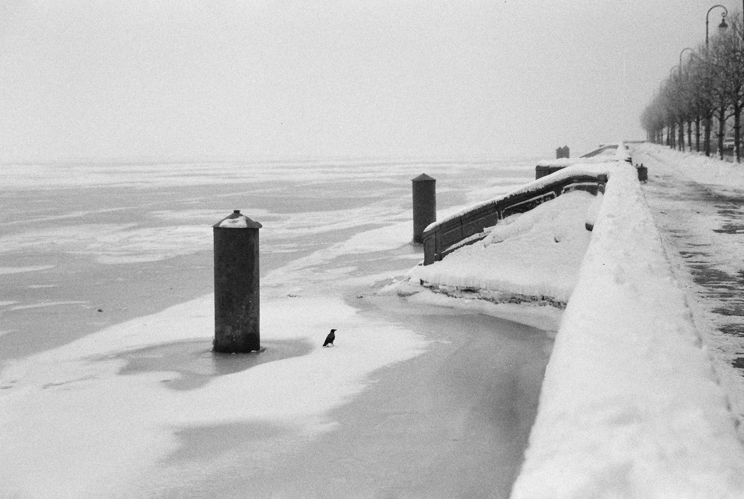 Фотографии черно-белые. Свадебный и семейный пленочный фотограф в Петербурге Истомина Ирина
