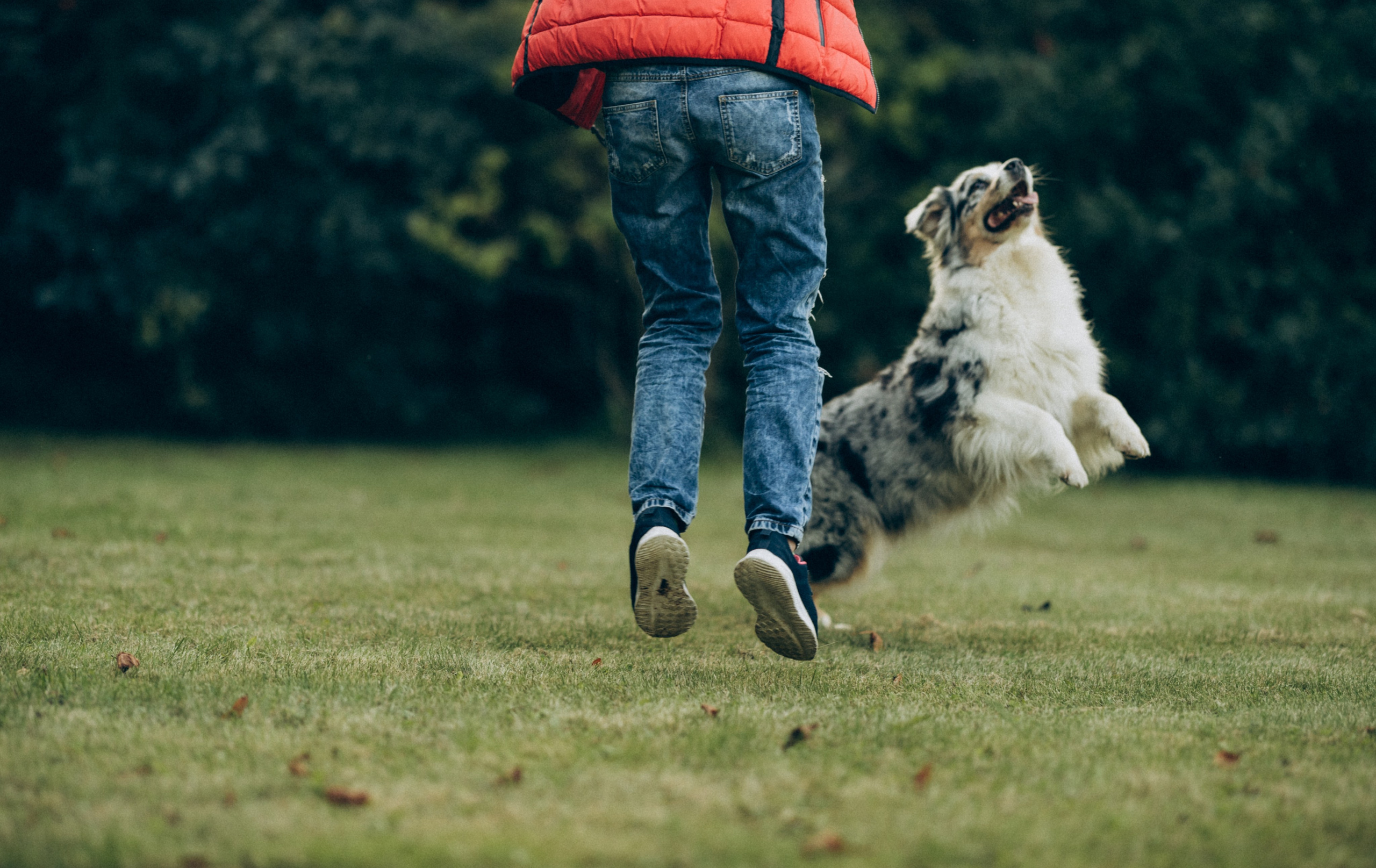 Катя и ее стая. Татьяна Афонина | Фотограф