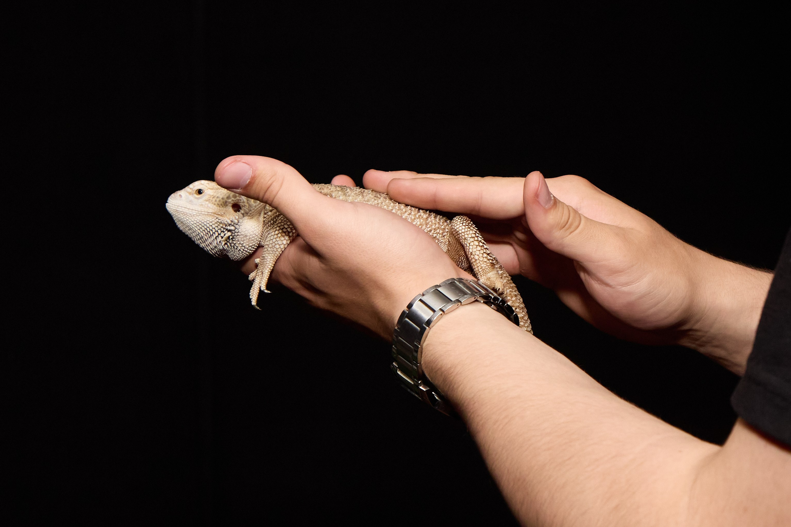 Репортажи. Фотограф Великий Новгород Татьяна Чиглинцева