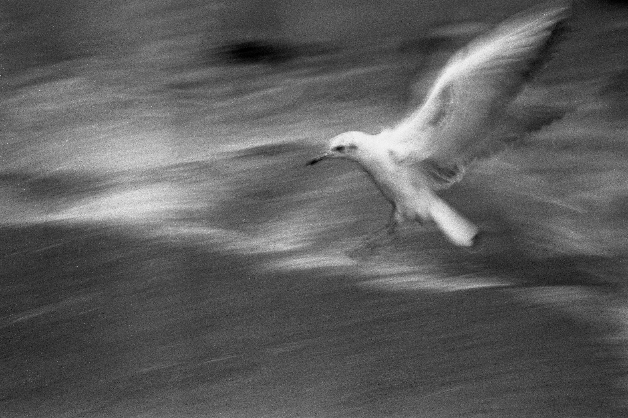 Пейзаж. Портретный фотограф в Москве Михаил Воронцов