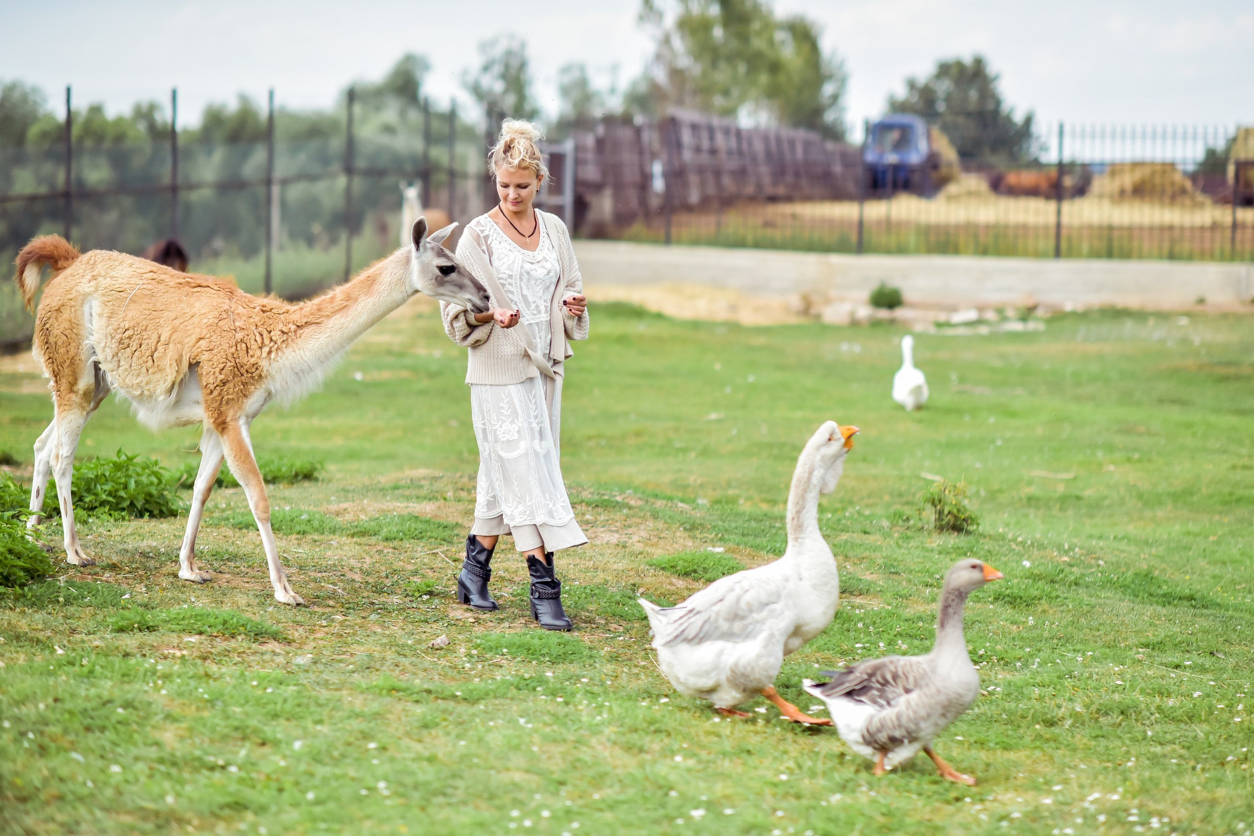 РАНЧО/ АВГУСТ. Фотограф для бизнесконтента, репортажей и семейного альбома в Москве