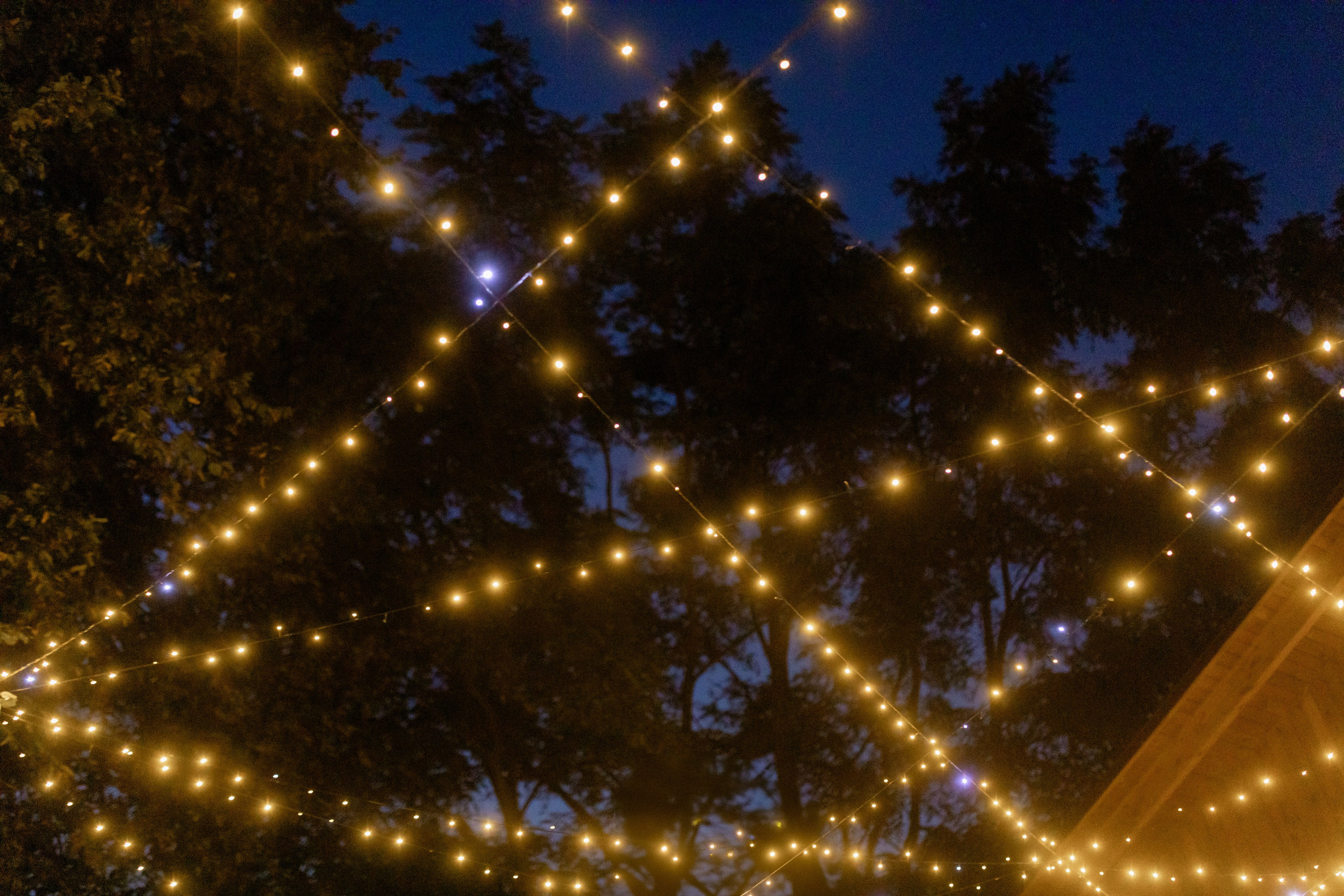 Виноградники. Dima Lemeshevsky