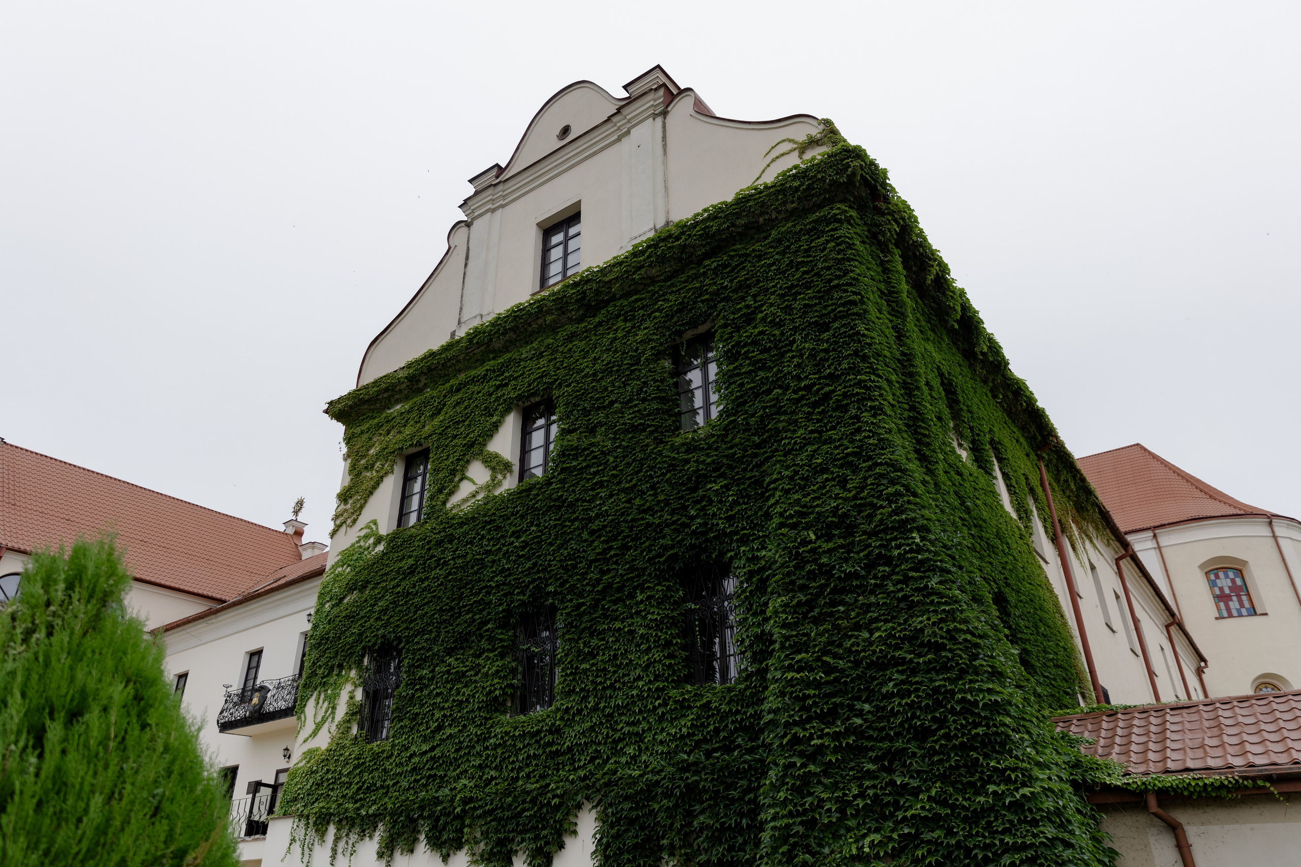 Аня и Игорь. Dima Lemeshevsky