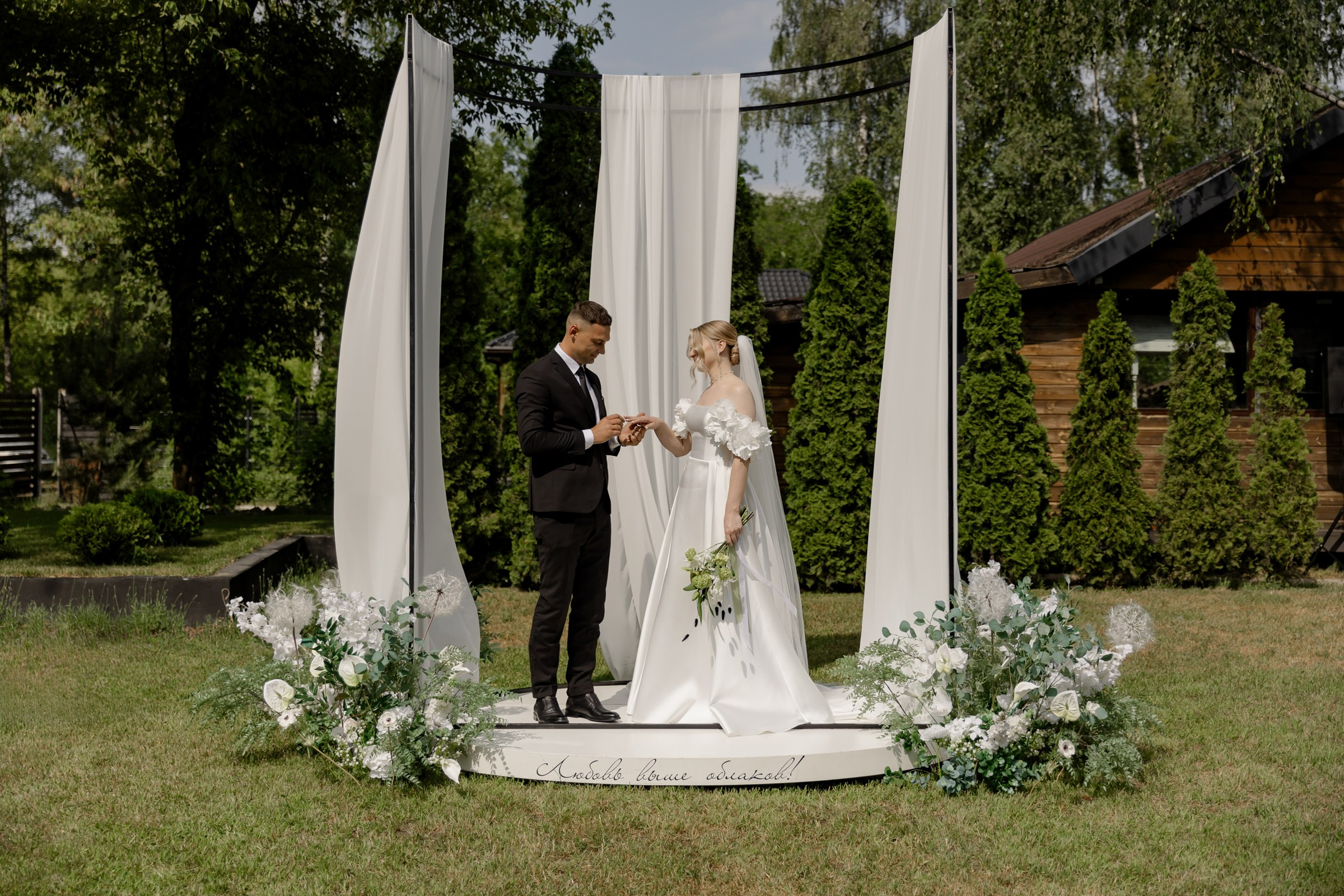 Свадьба пес и котики. Dima Lemeshevsky