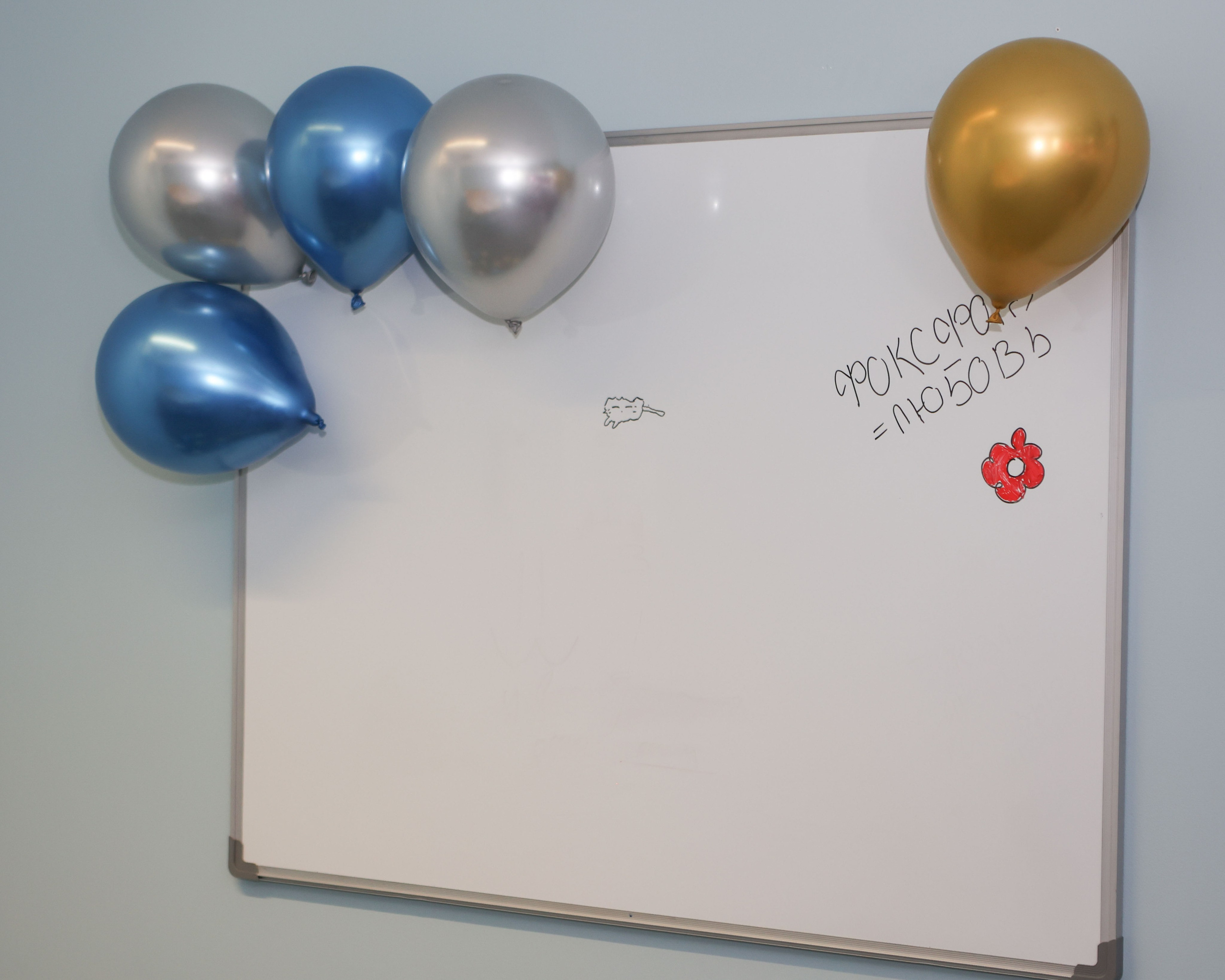 Новый учебный год в Школе Фоксфорд 1-2 классы. Выпускные альбомы и школьный фотограф в Подольске, Троицке, Щербинке, Москве и Московской области