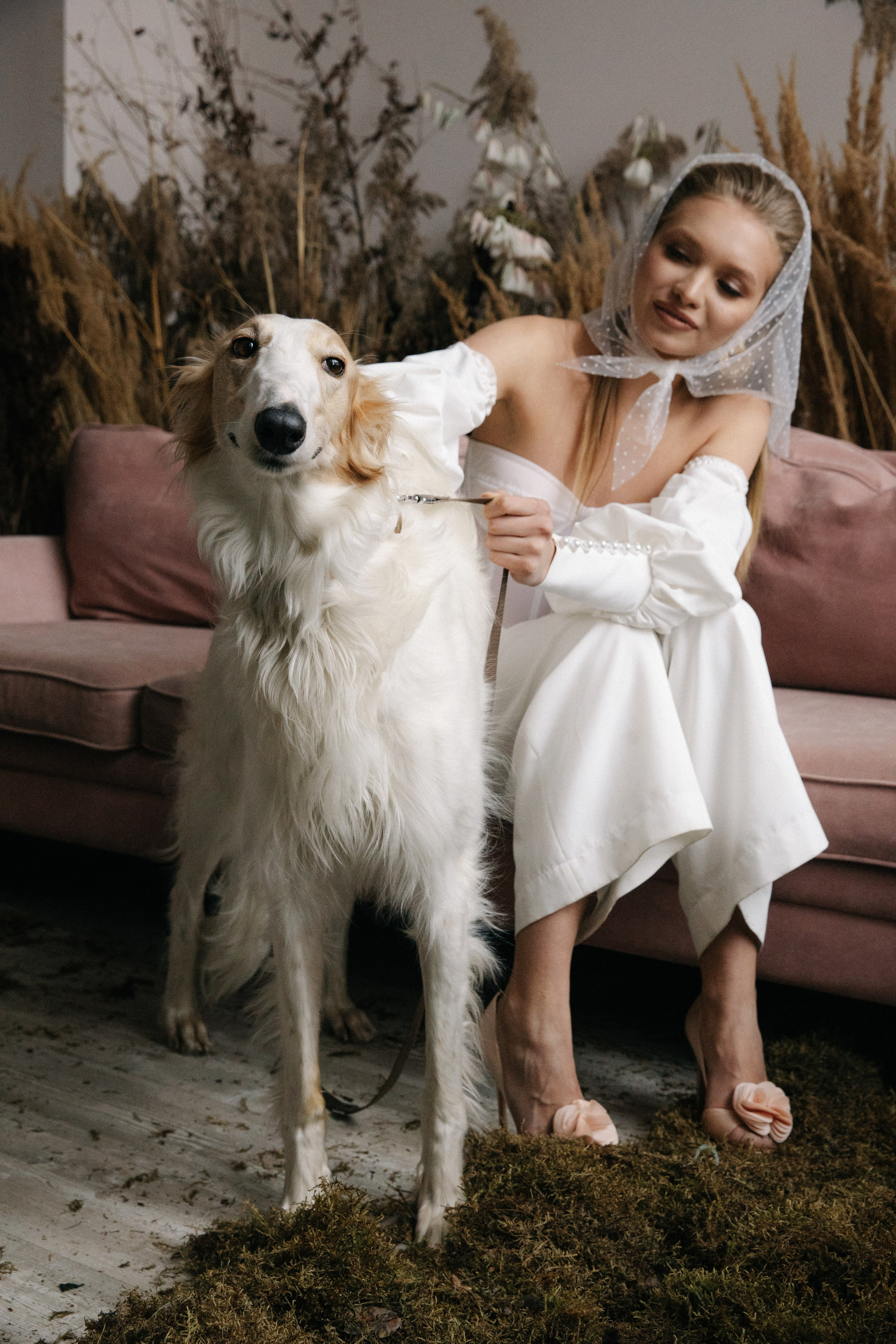 Борзые. Свадебный и семейный фотограф Скрынник Светлана