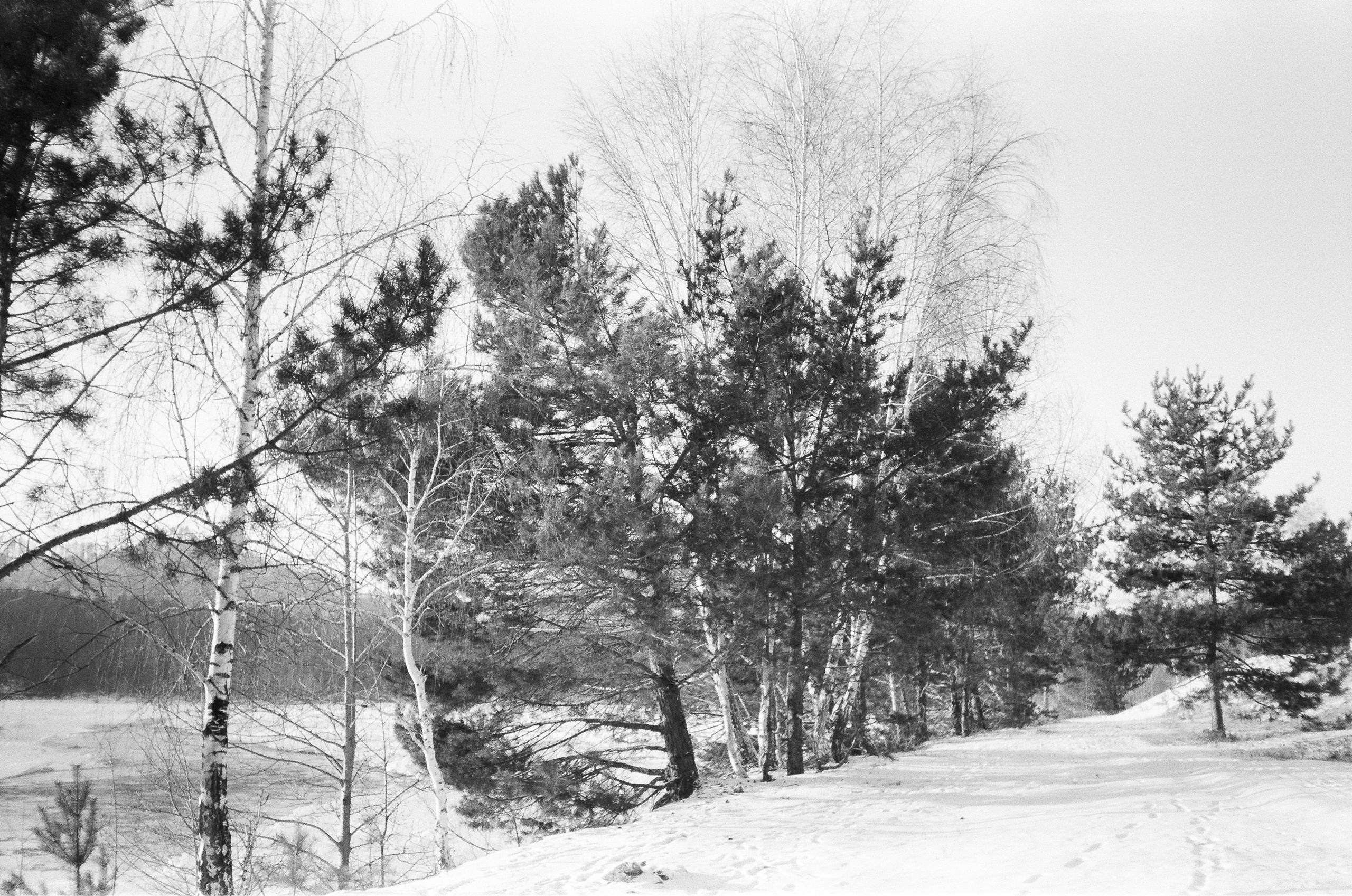 Окрестности горы Чертов палец и озеро Ая. Фотограф-документалист Мария Осокина