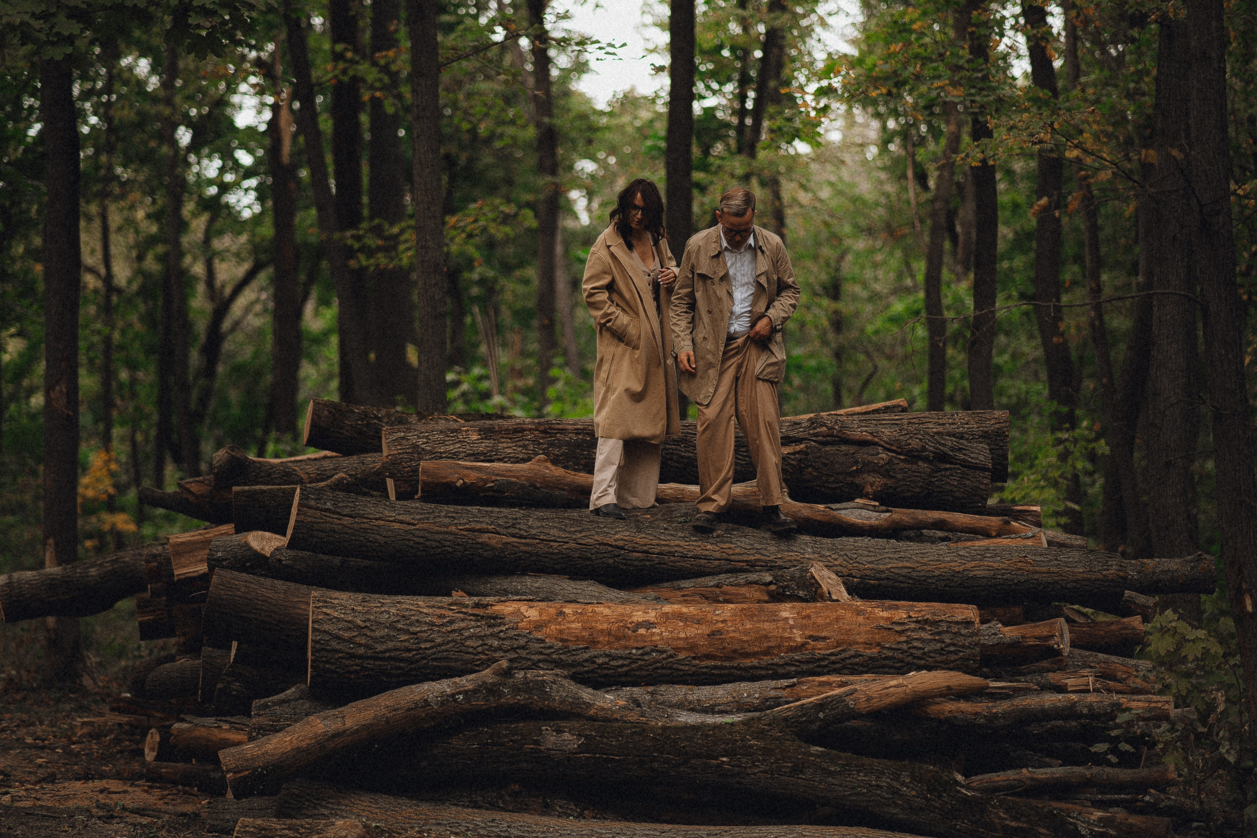 Лес. Фотограф Мария Зайчик