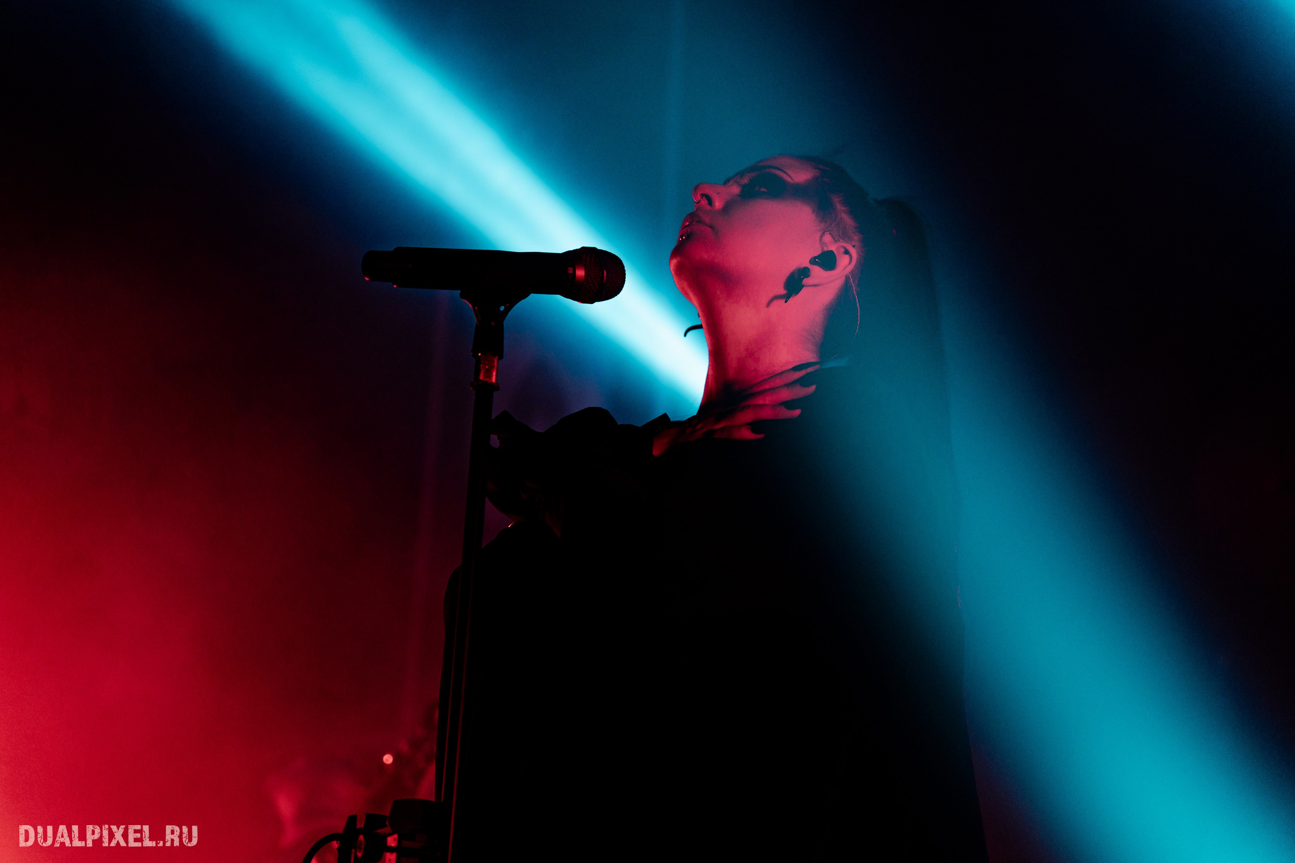 TARDIGRADE INFERNO. Магия музыки в кадре: Концертная Фотография