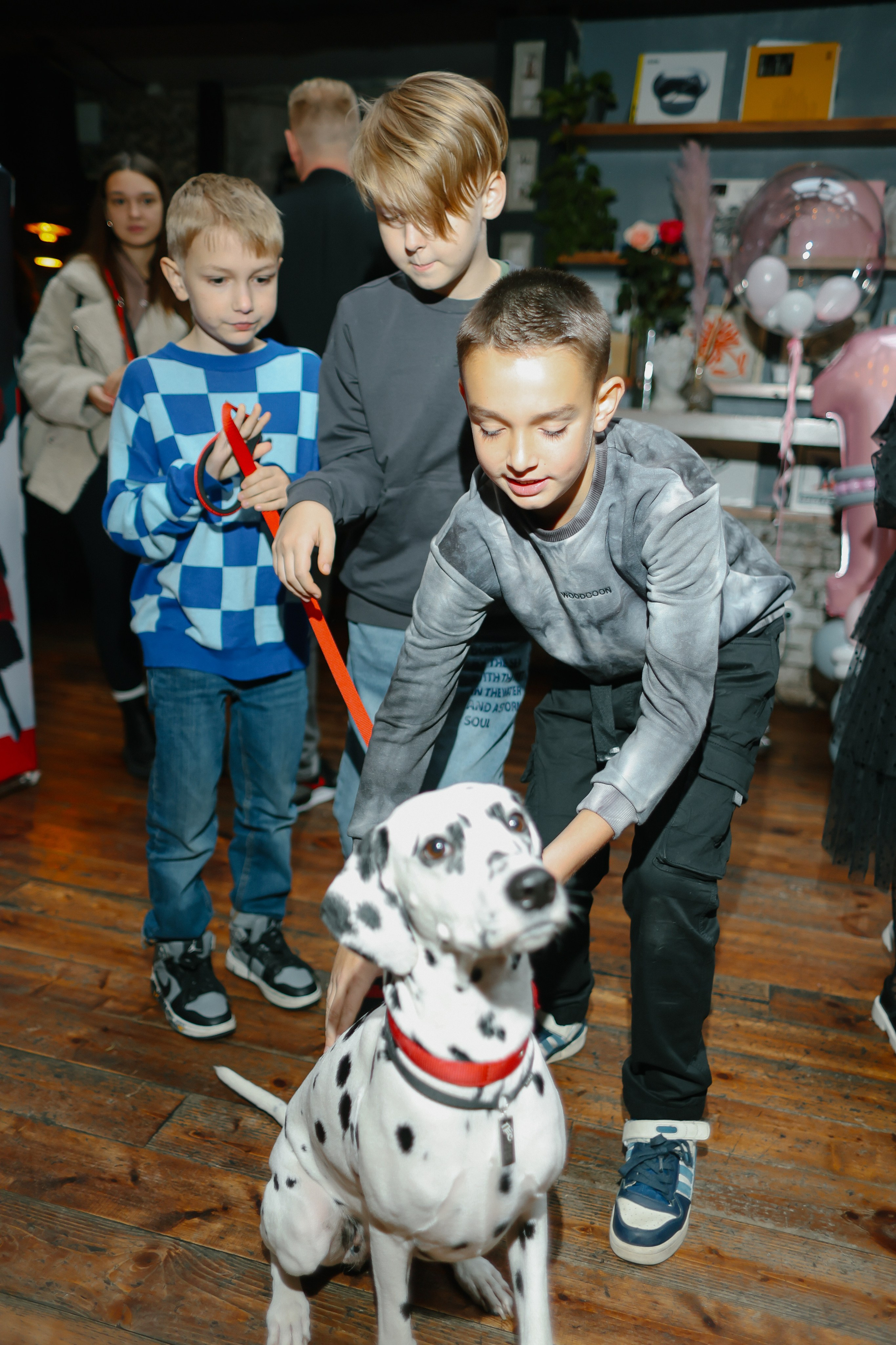 Crualle. Главная