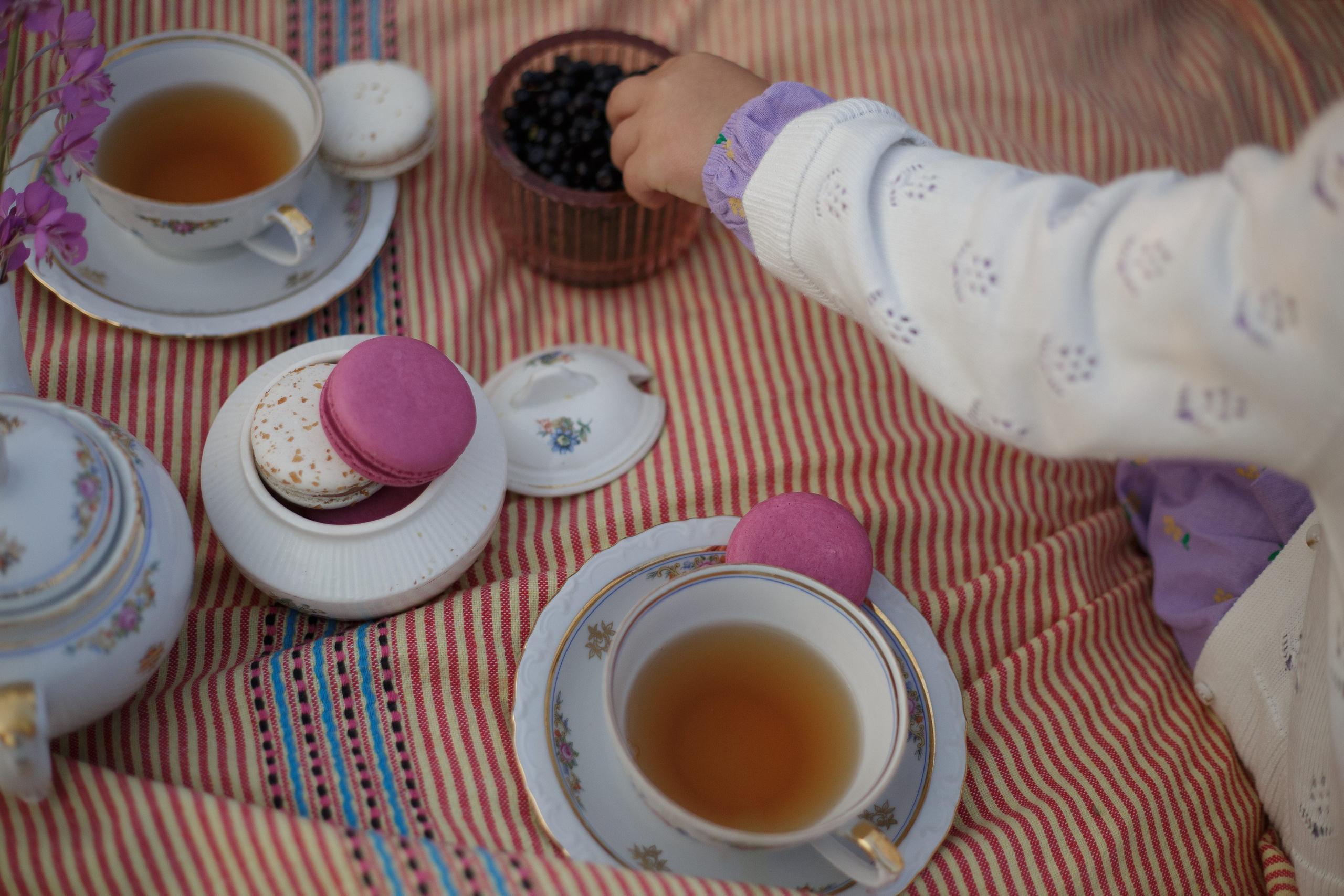 Семейная фотосъемка в поле летом 2023. Марина Рерих — портретный фотограф в Екатеринбурге