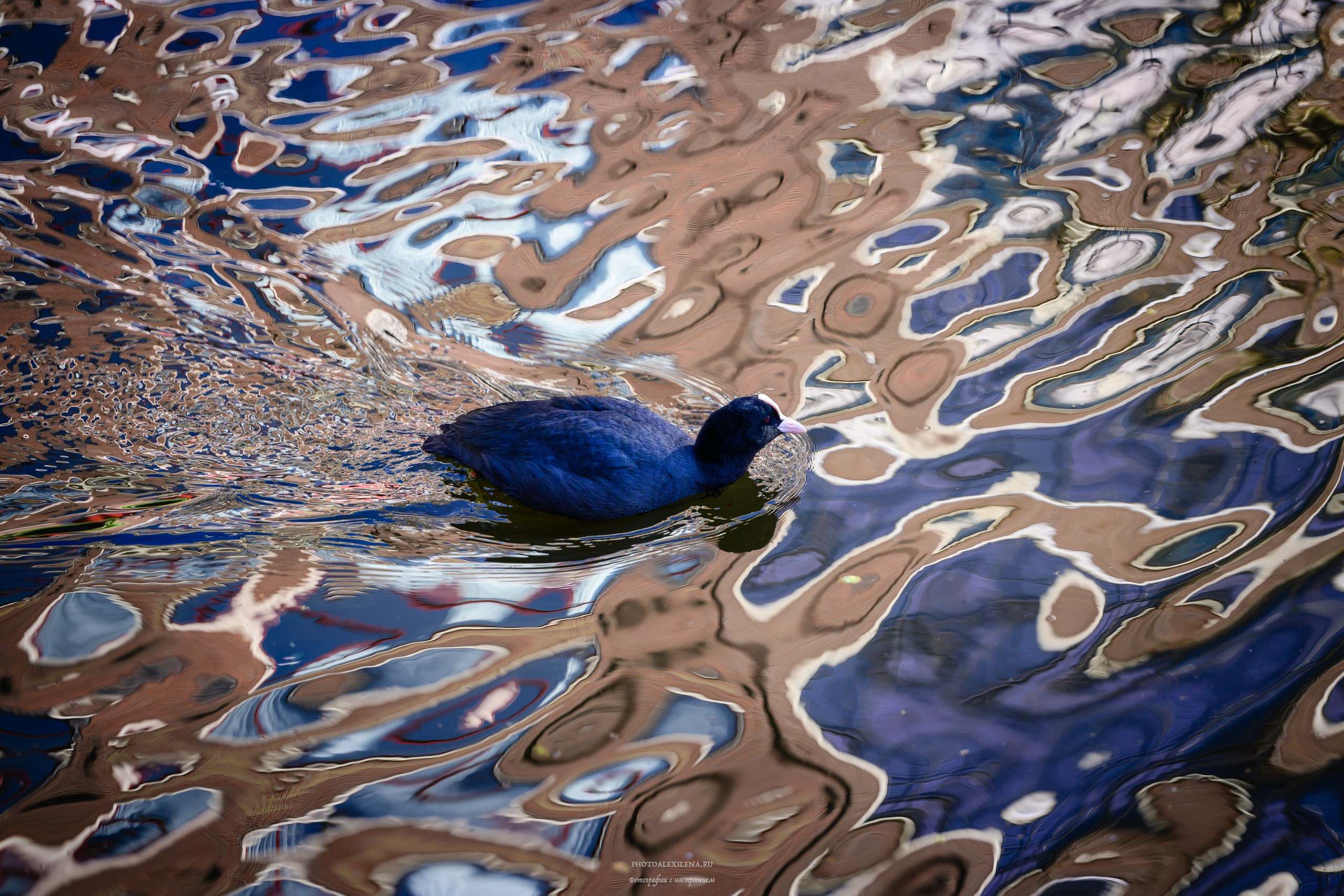 И это всё о нём. Авторские стильные фотокартины