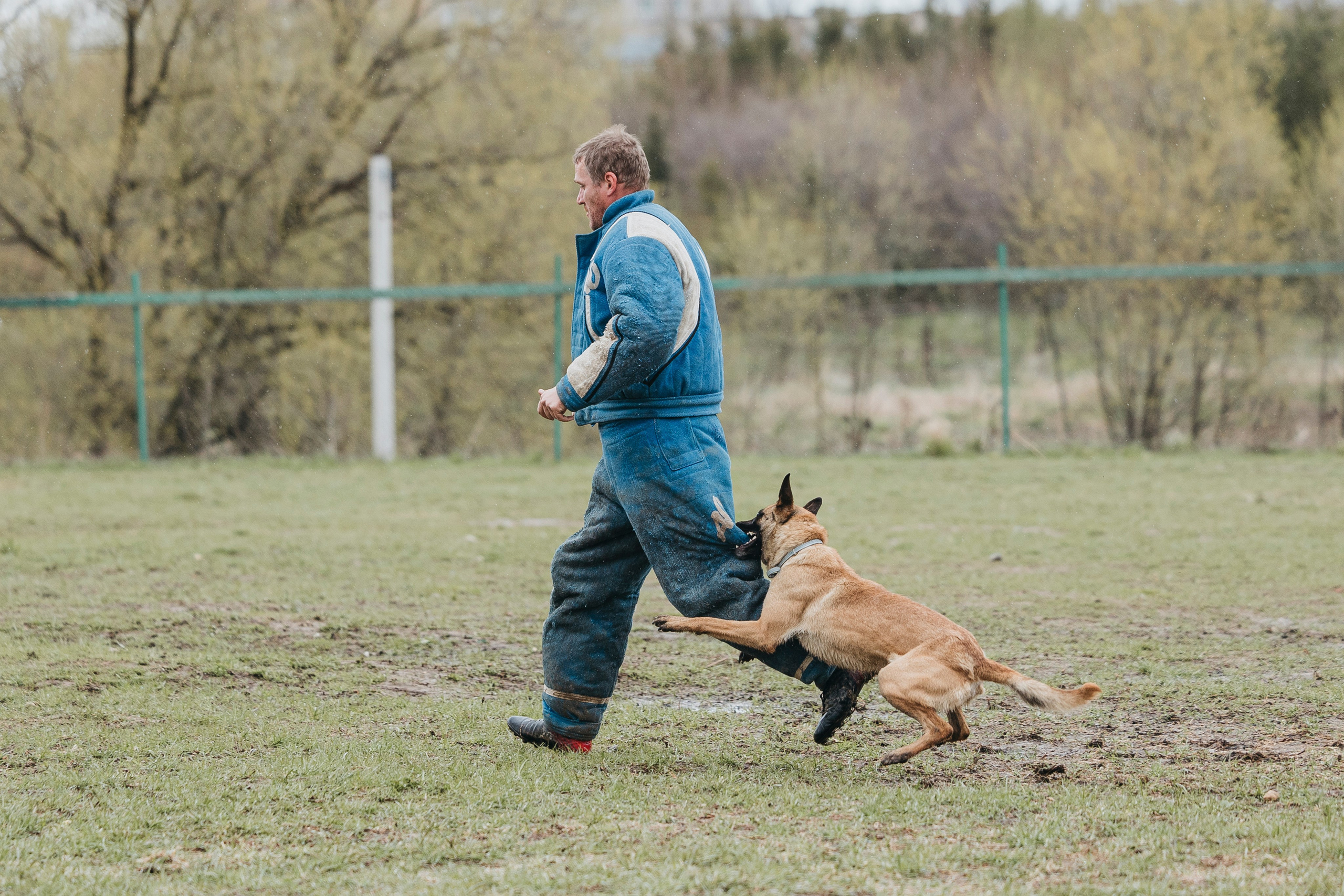 09.05.25 Вологда соревнования. Фотограф-анималист Анна Маринич