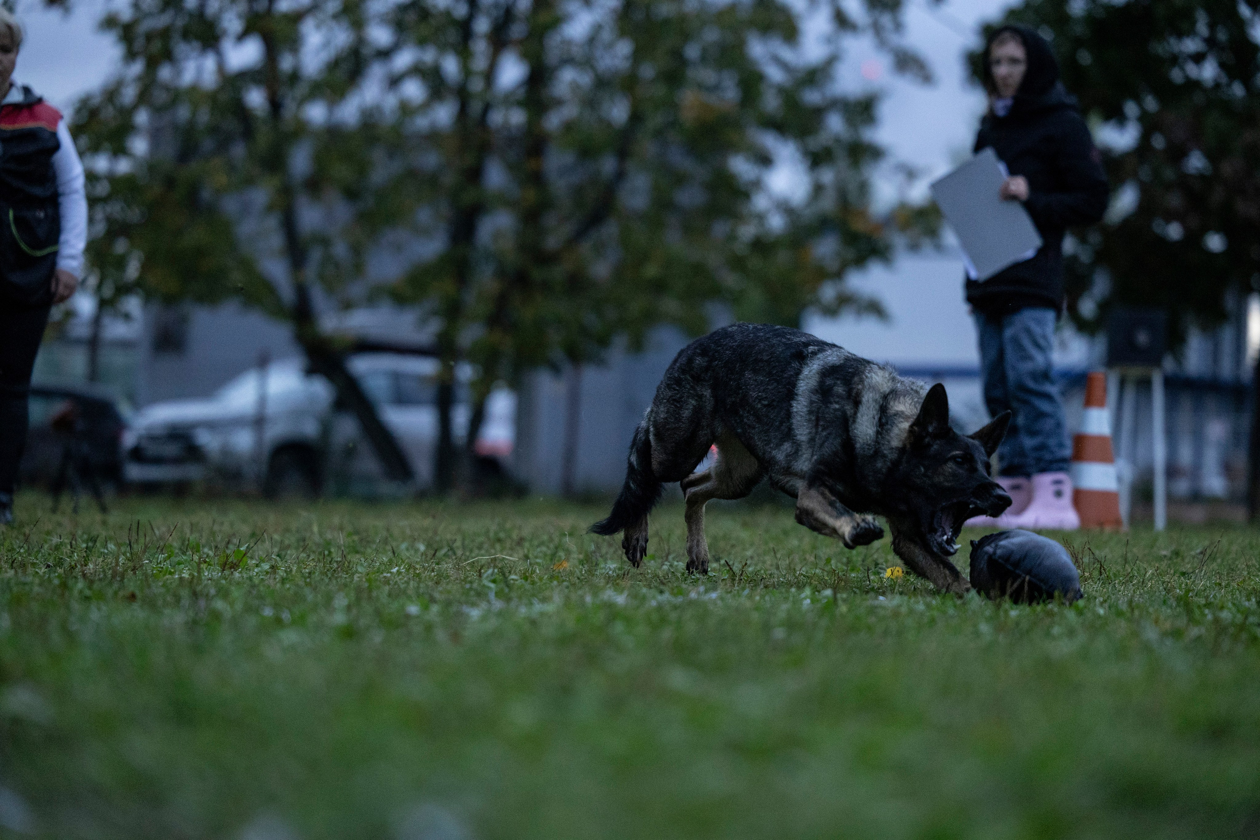Испытания по Мондьорингу г. Пушкин. Фотограф-анималист Анна Маринич